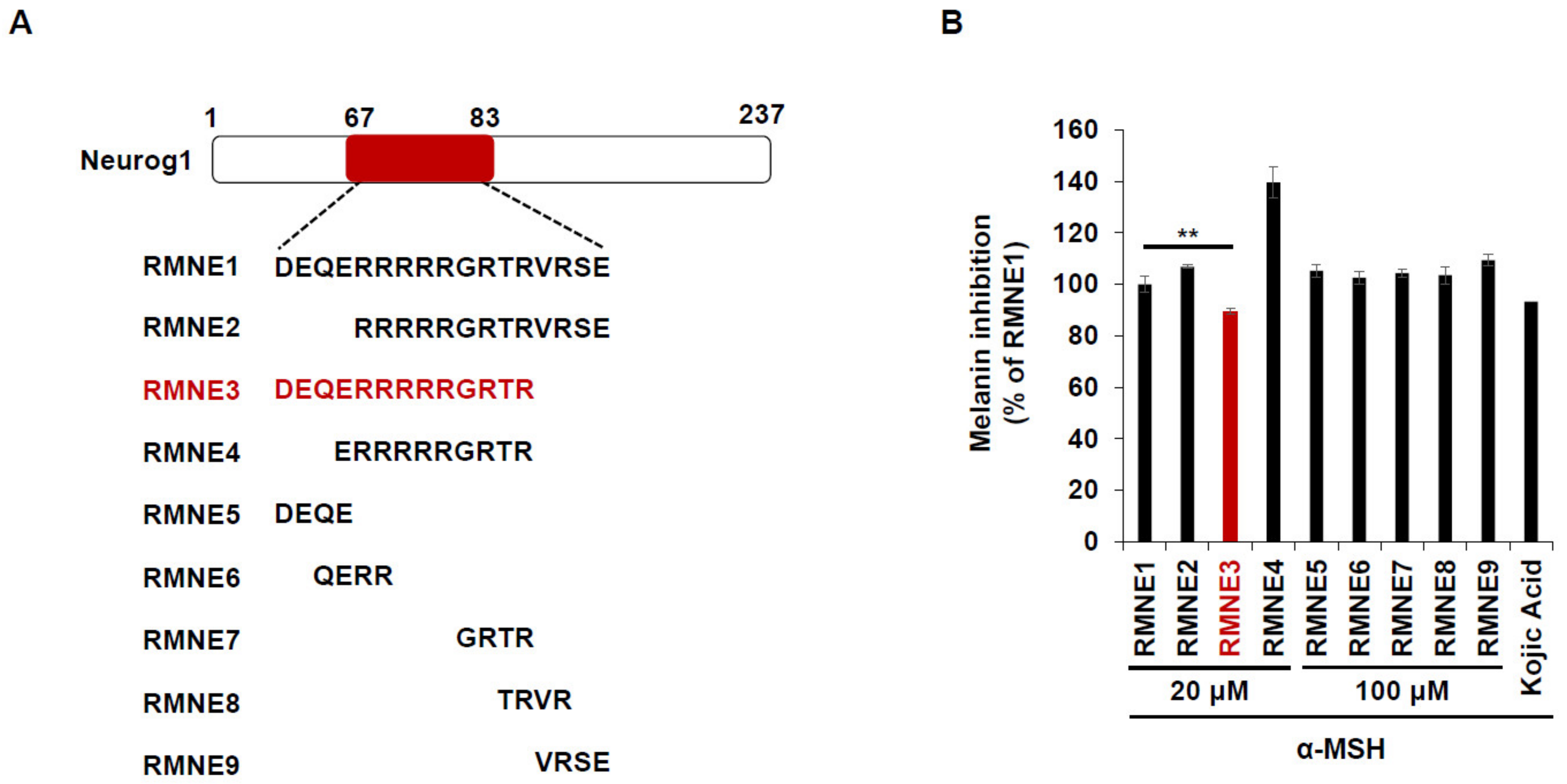 Ijms 24 06158 g002a Ijms 24 06158 g002a