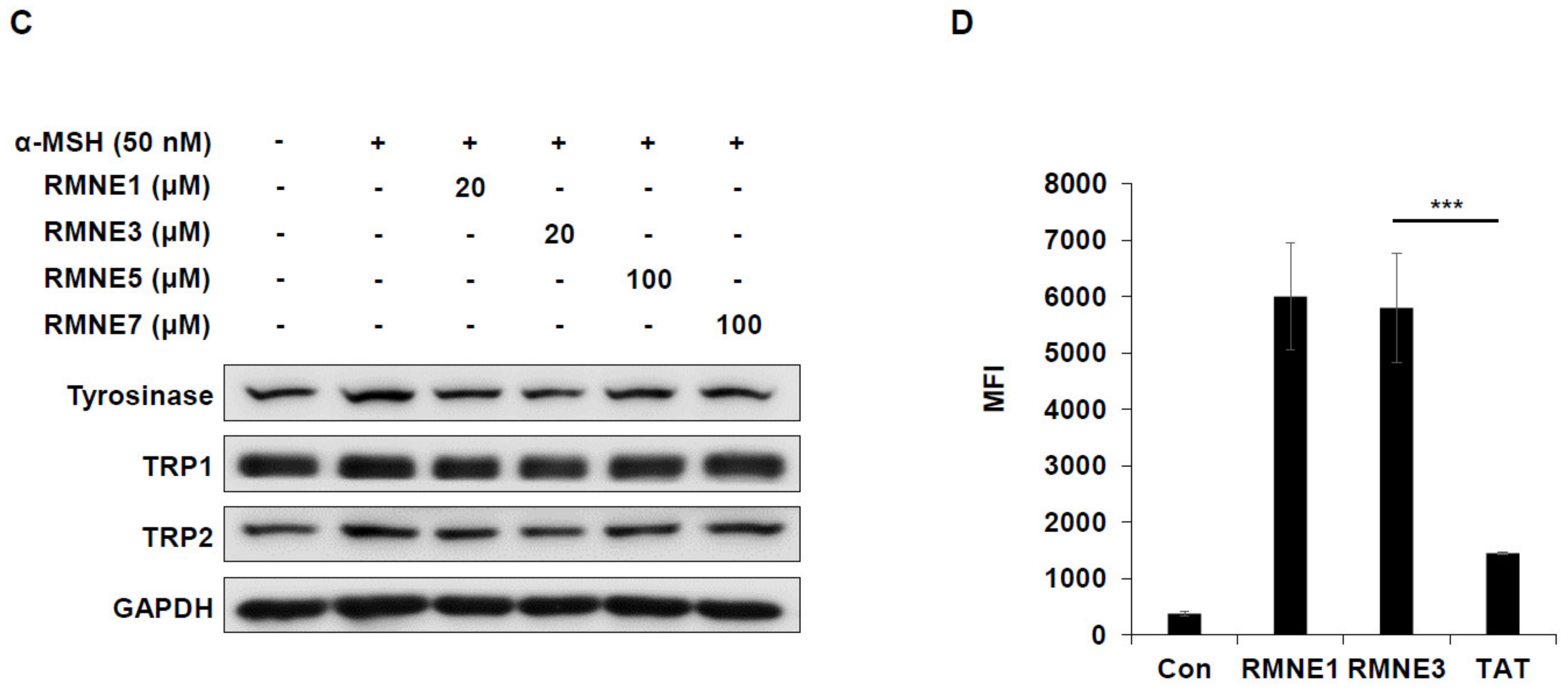 Ijms 24 06158 g002b Ijms 24 06158 g002b