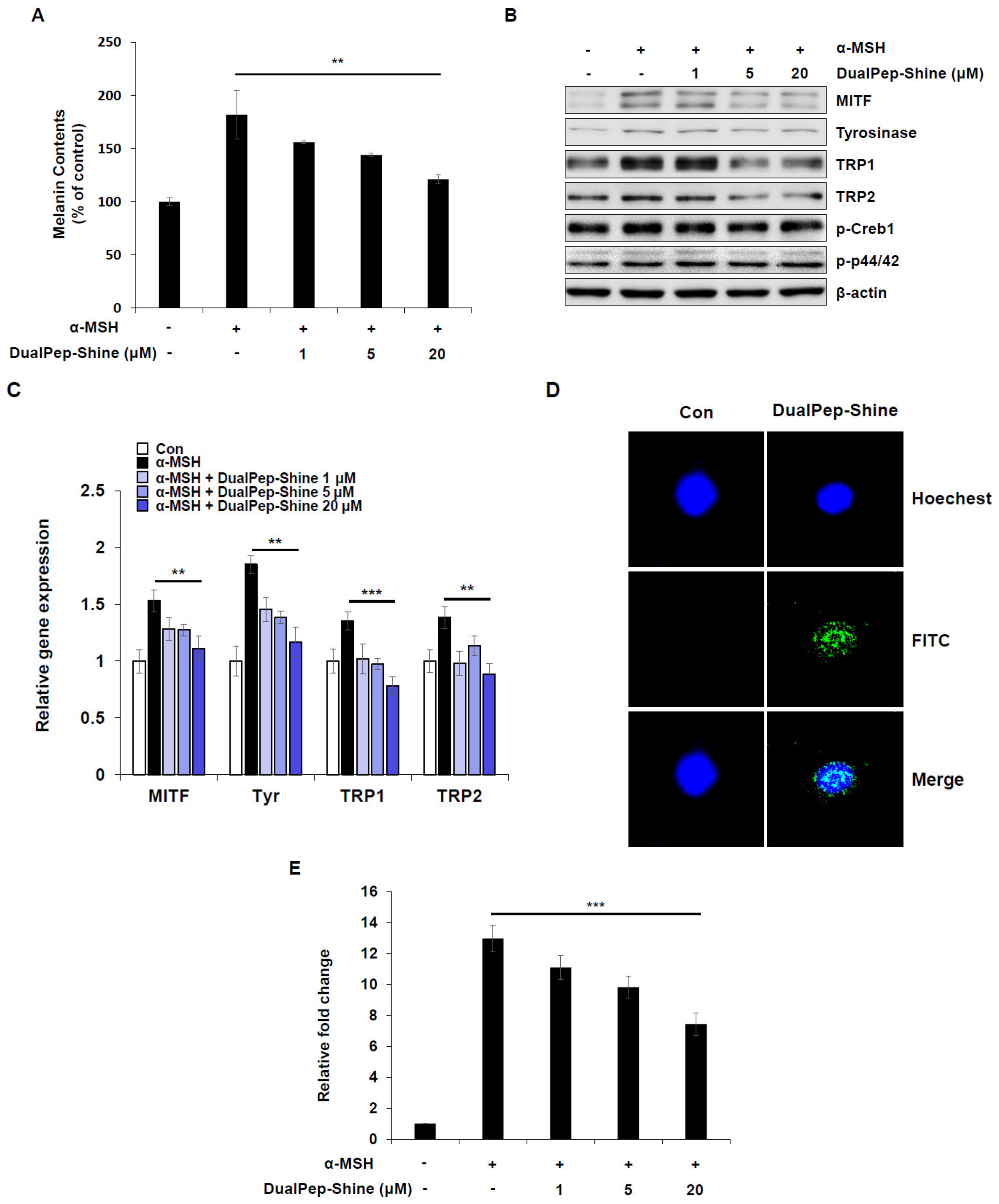 Ijms 24 06158 g003 Ijms 24 06158 g003