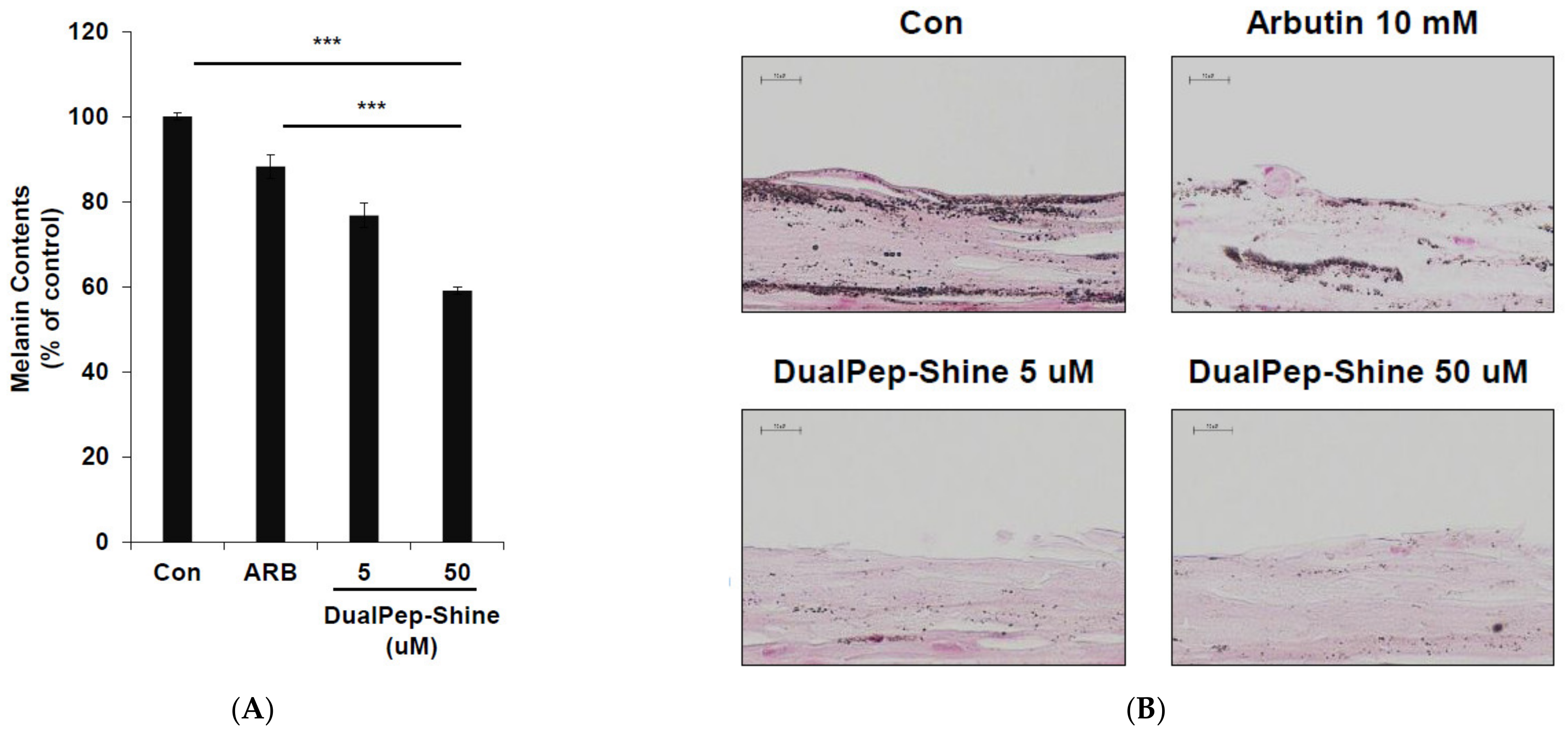 Ijms 24 06158 g004a Ijms 24 06158 g004a