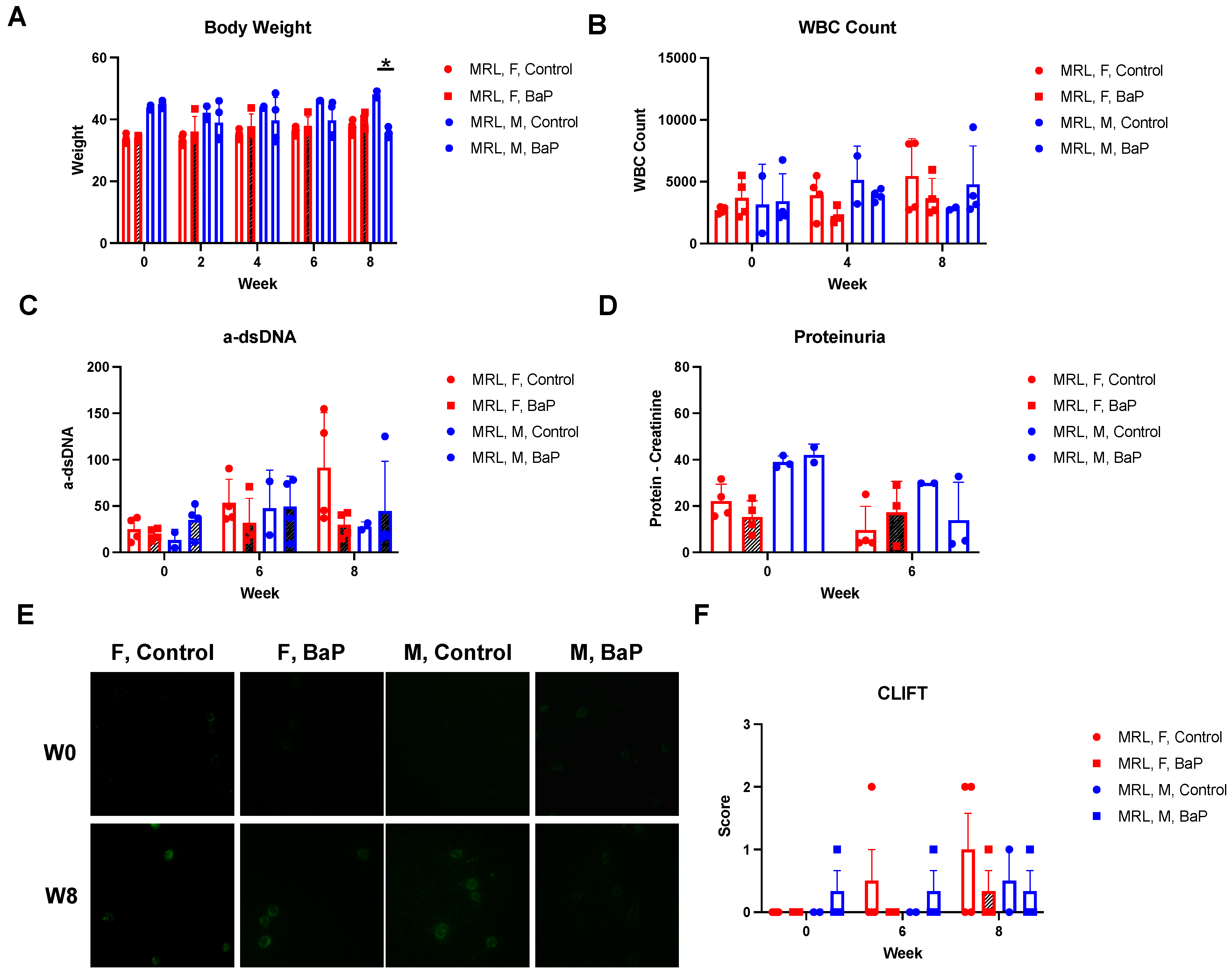 Ijms 24 06163 g001 Ijms 24 06163 g001