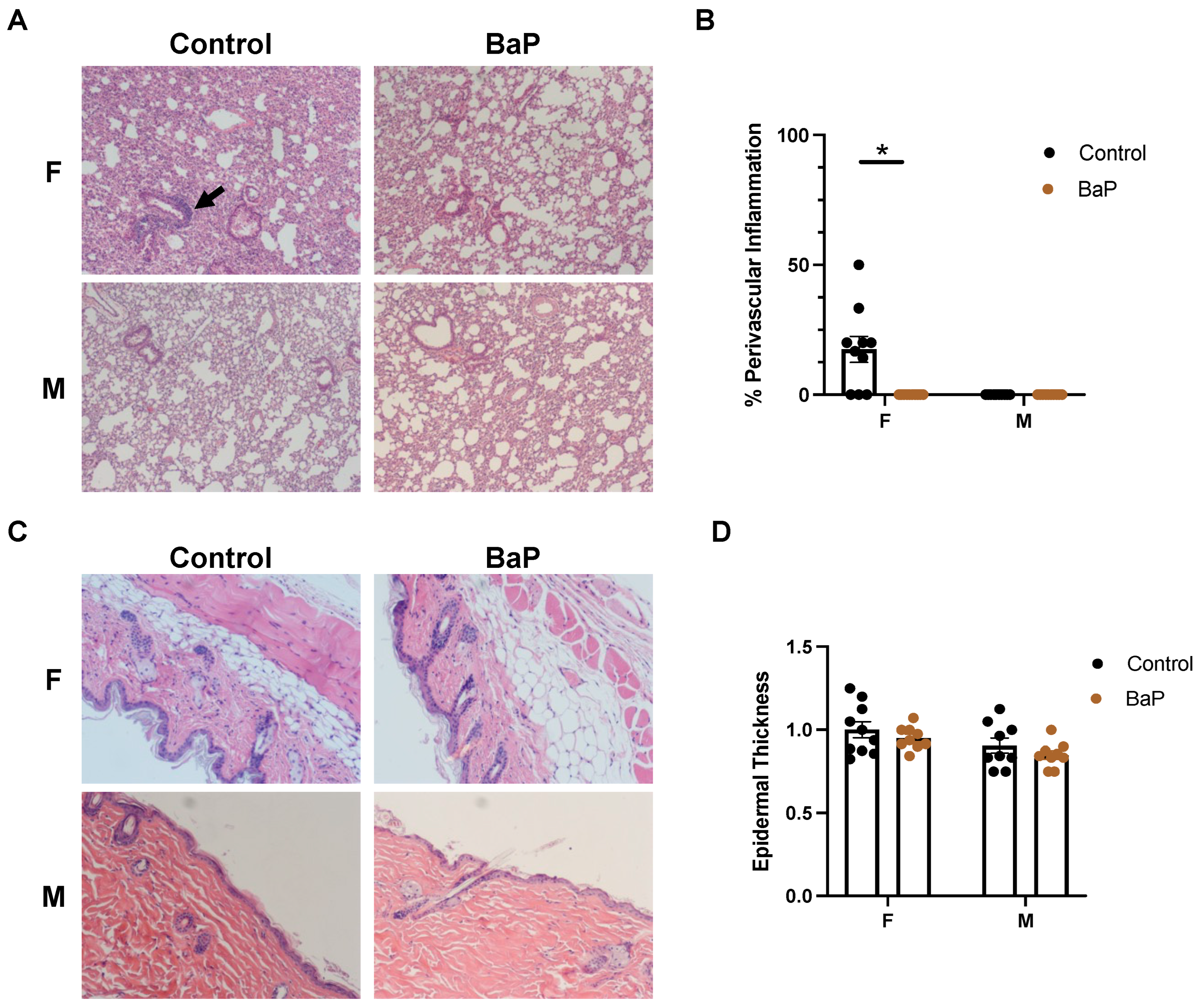 Ijms 24 06163 g002 Ijms 24 06163 g002