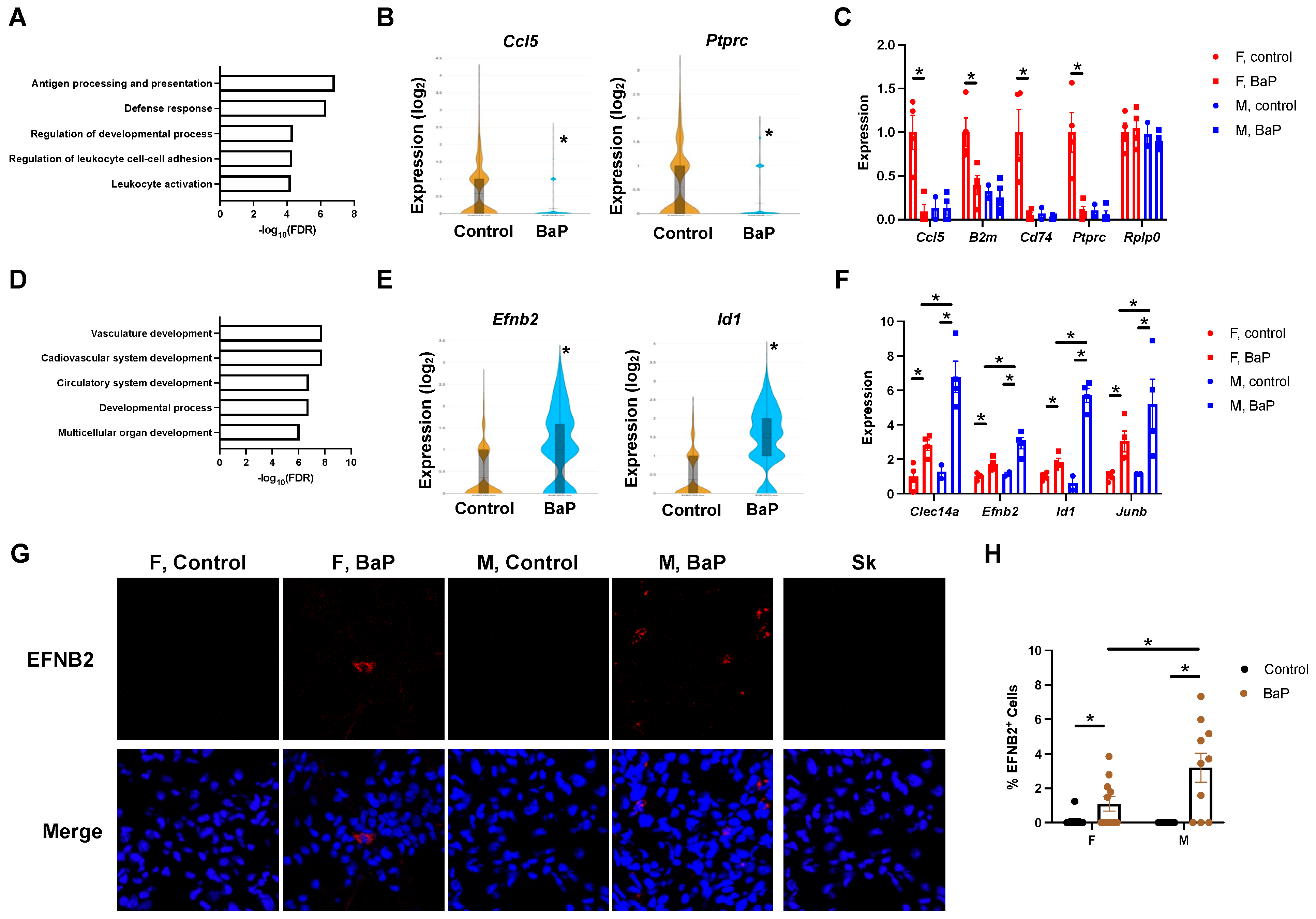 Ijms 24 06163 g004 Ijms 24 06163 g004