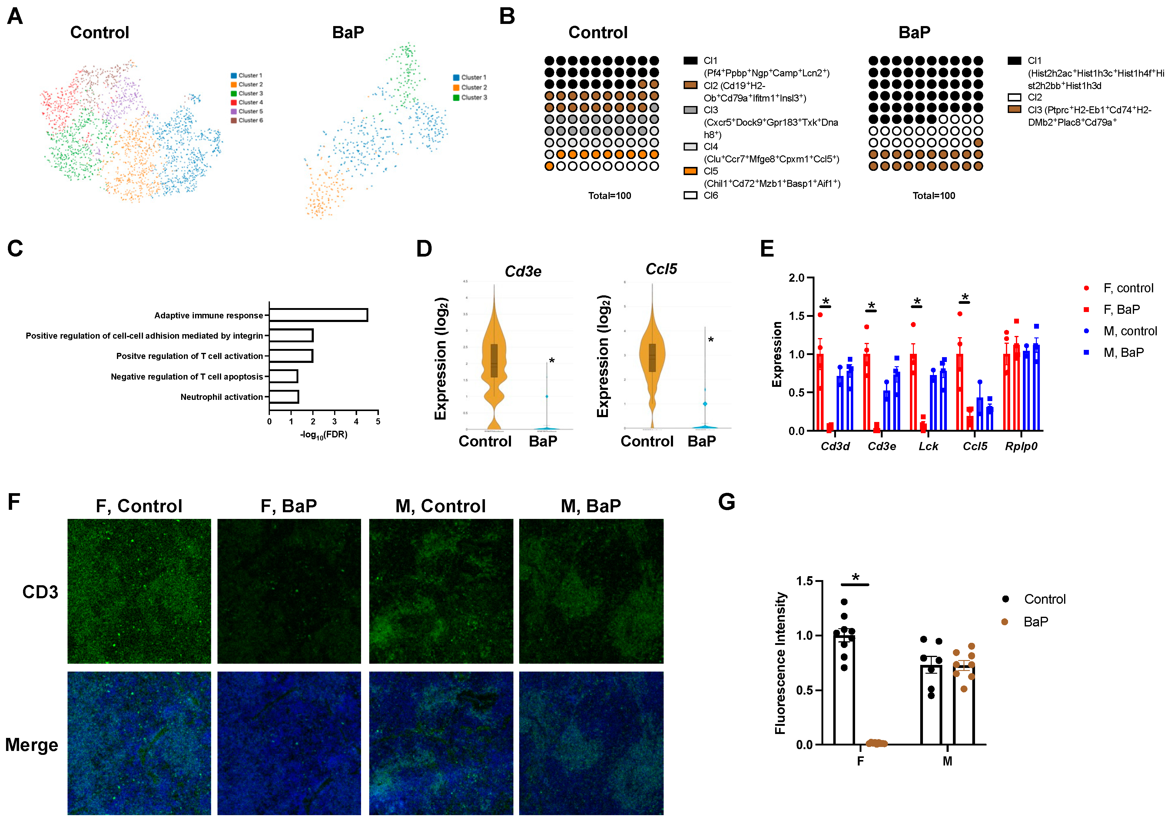 Ijms 24 06163 g005 Ijms 24 06163 g005
