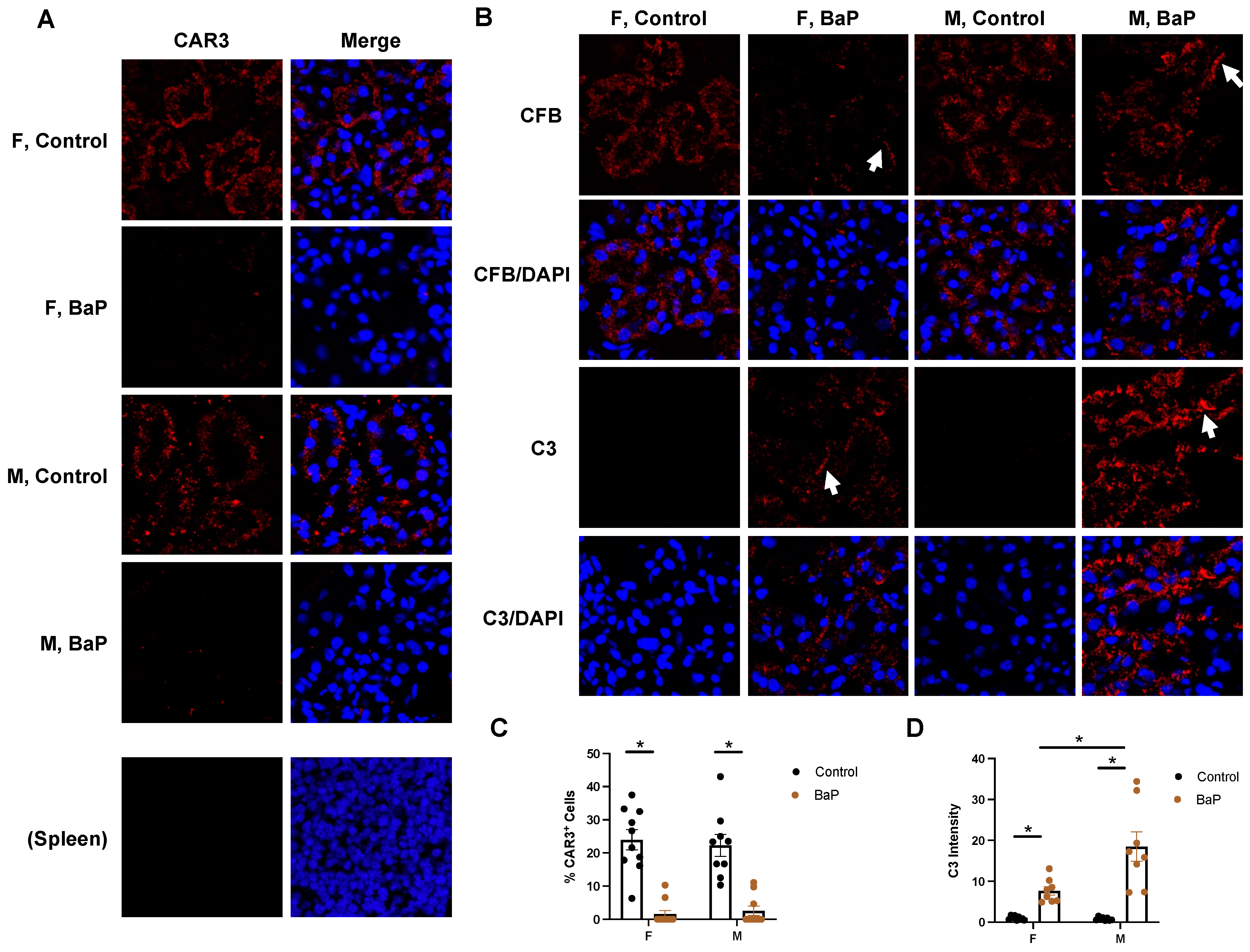 Ijms 24 06163 g007 Ijms 24 06163 g007