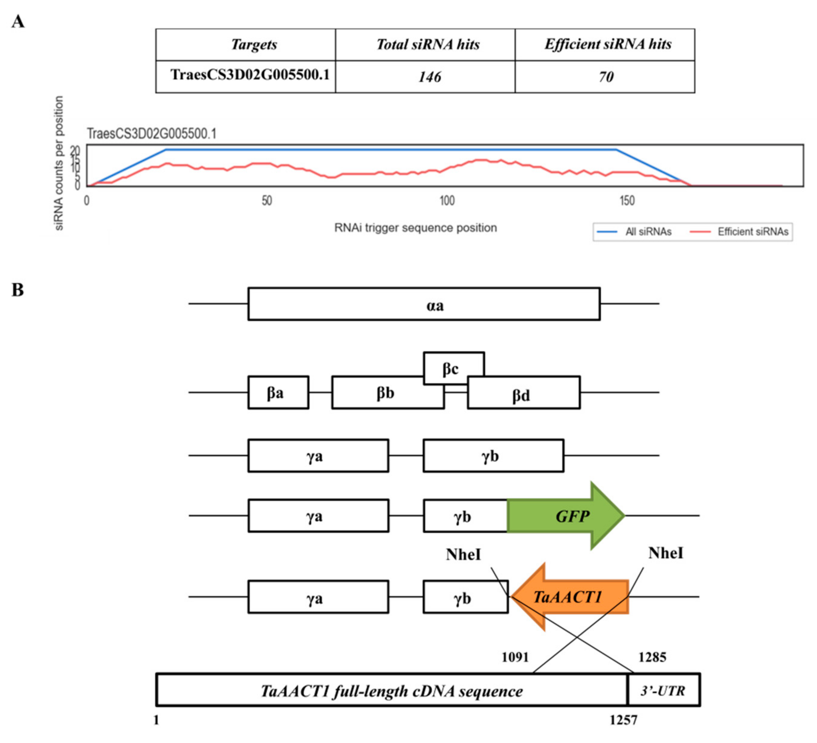 Ijms 24 06165 g004 Ijms 24 06165 g004