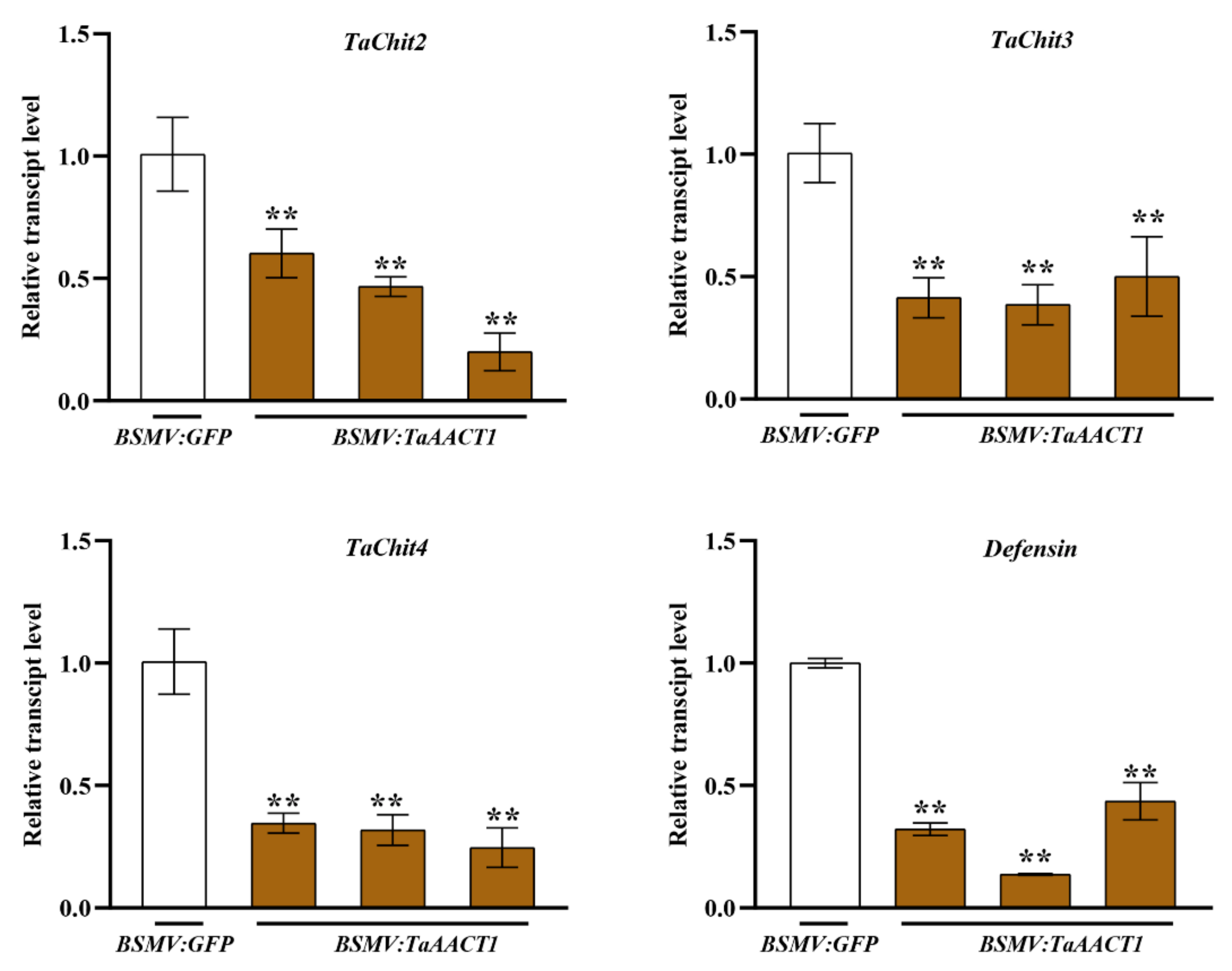 Ijms 24 06165 g006 Ijms 24 06165 g006