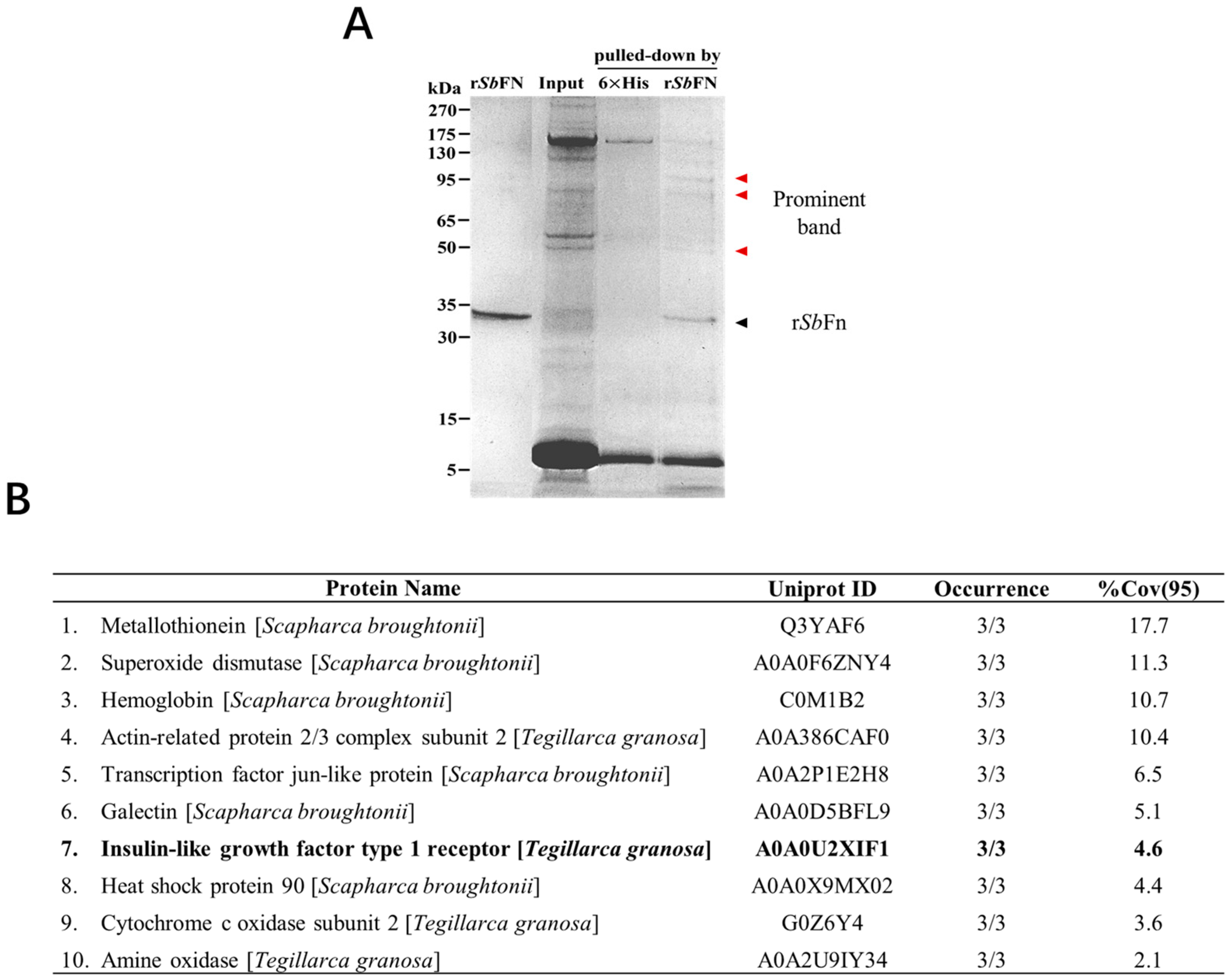 Ijms 24 06175 g001 Ijms 24 06175 g001