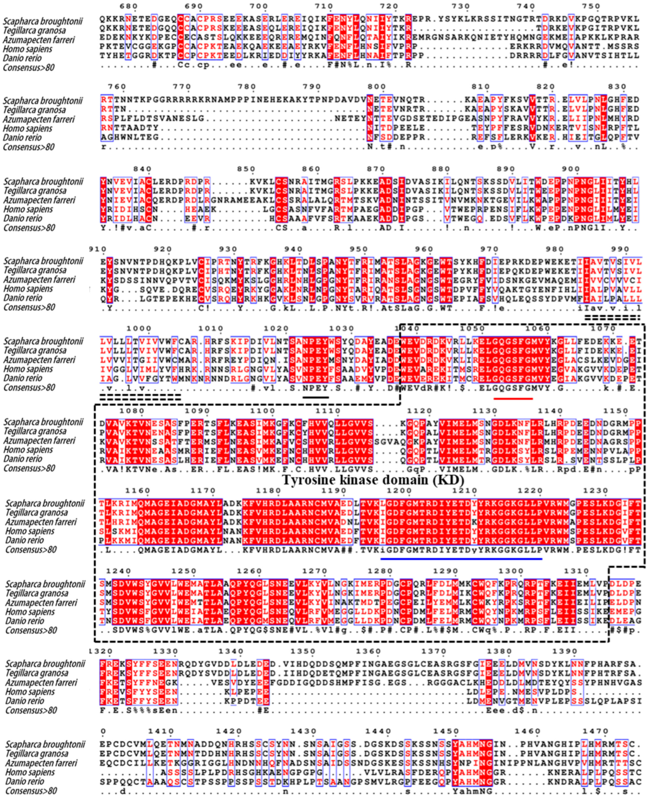 Ijms 24 06175 g003b Ijms 24 06175 g003b