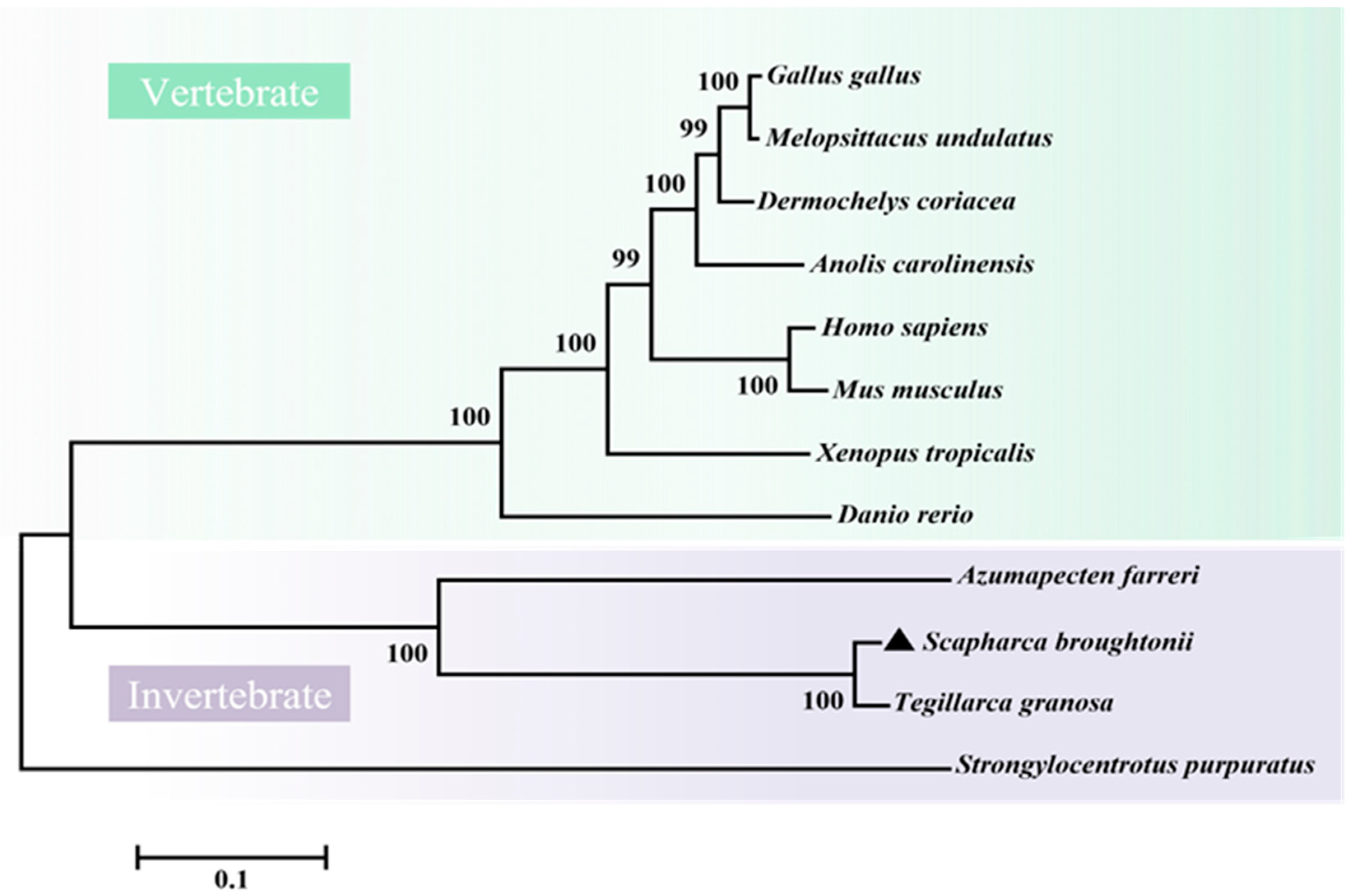 Ijms 24 06175 g004 Ijms 24 06175 g004