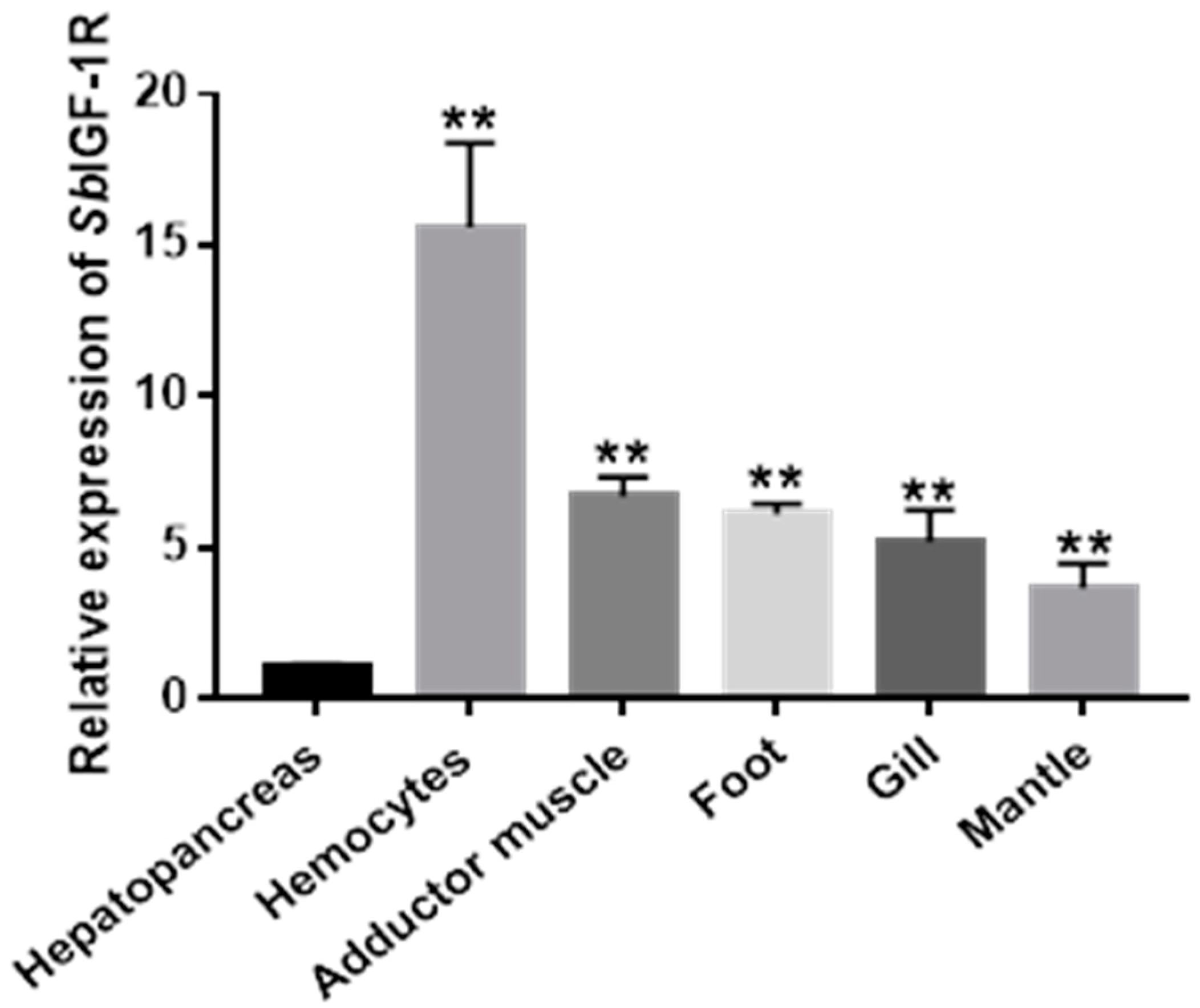 Ijms 24 06175 g005 Ijms 24 06175 g005