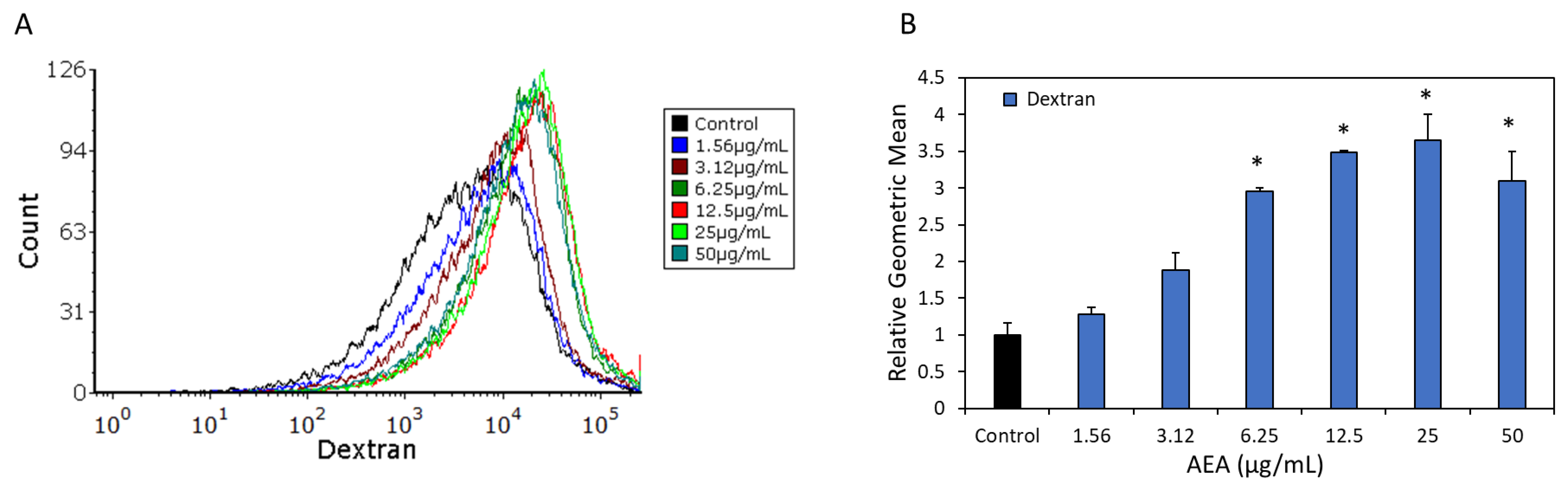 Ijms 24 06177 g004 Ijms 24 06177 g004
