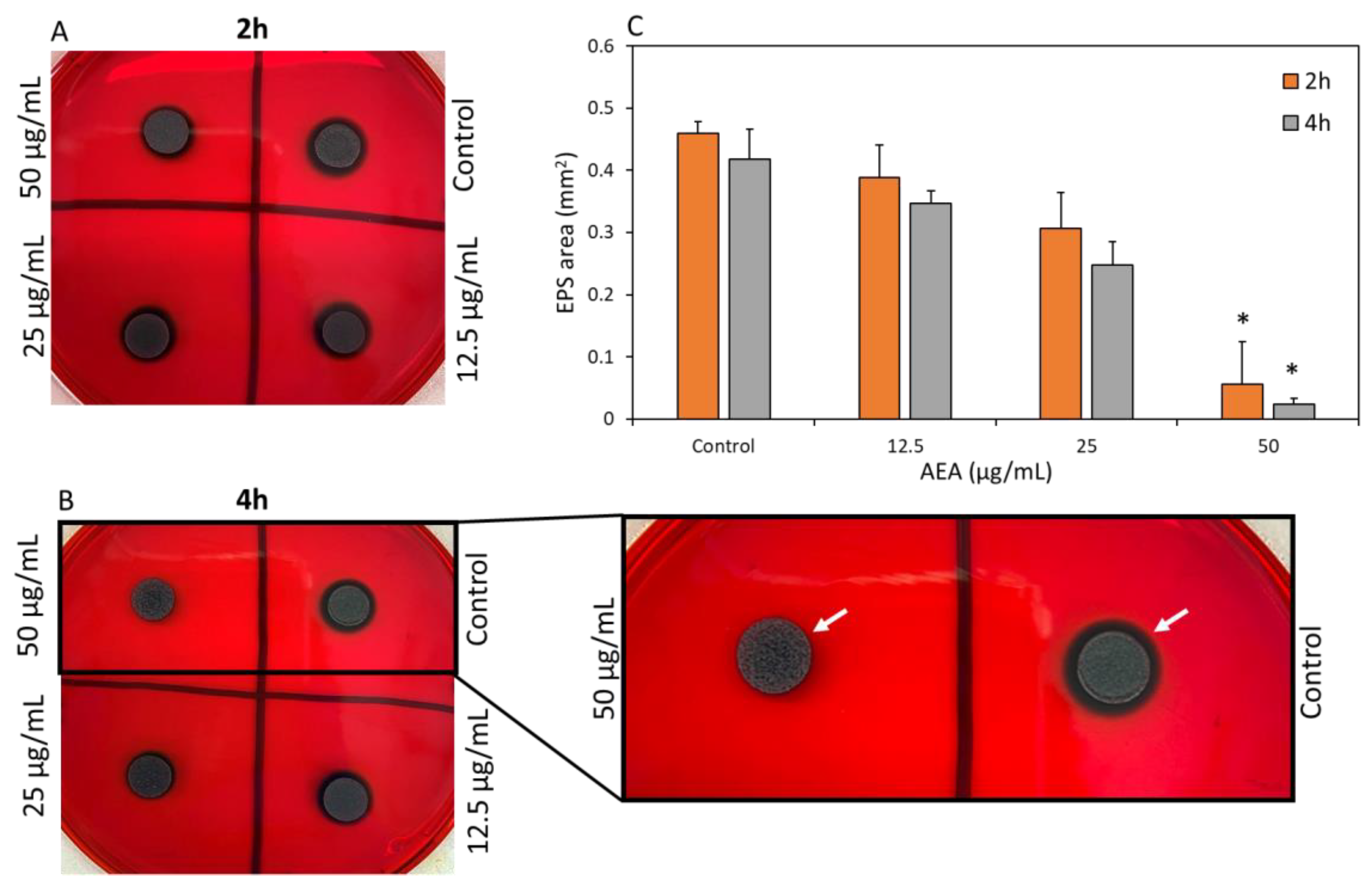 Ijms 24 06177 g005 Ijms 24 06177 g005