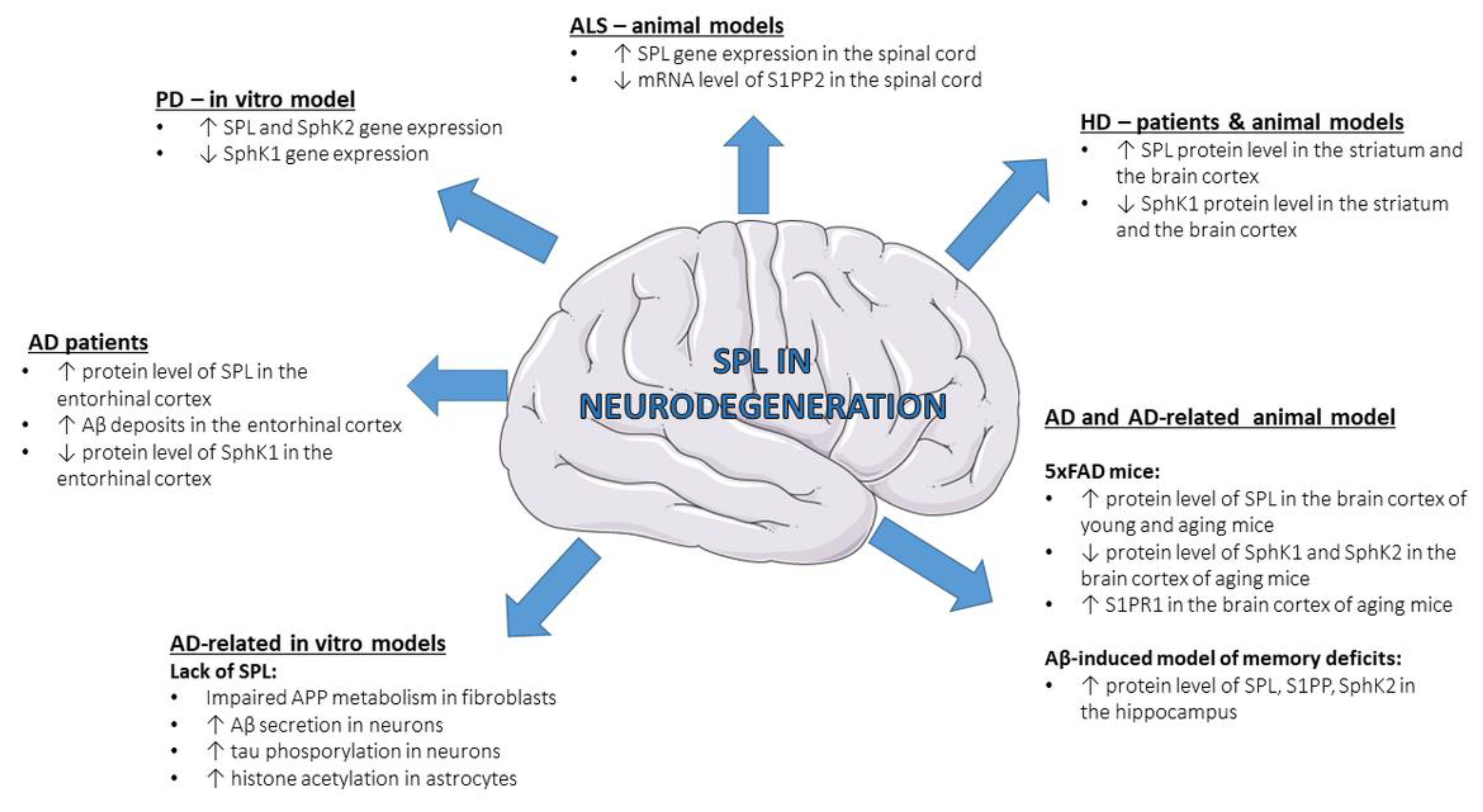 Ijms 24 06180 g002 Ijms 24 06180 g002
