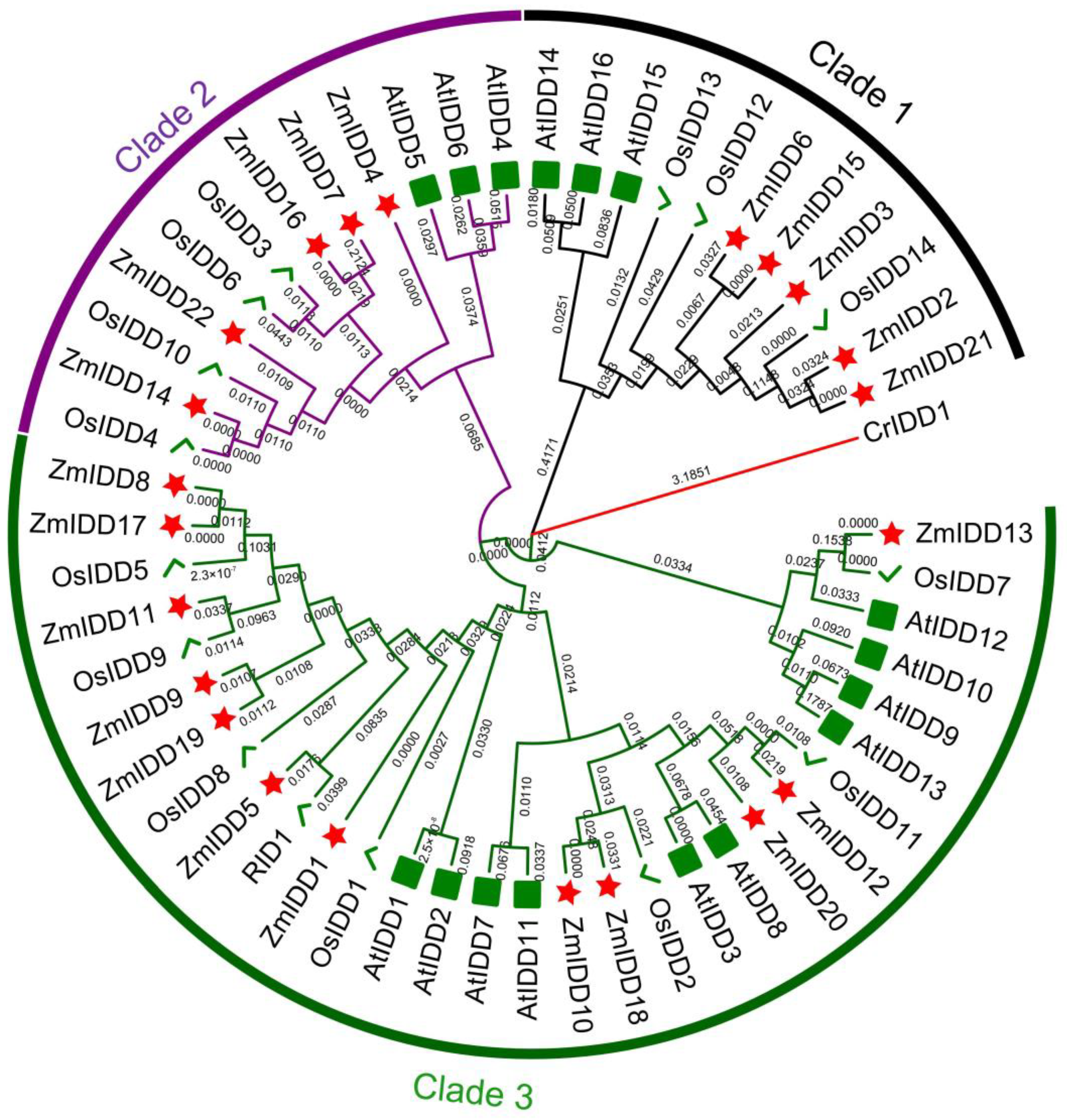 Ijms 24 06185 g001 Ijms 24 06185 g001