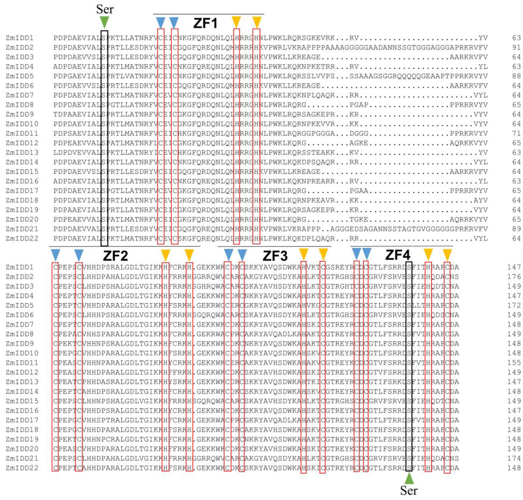 Ijms 24 06185 g003 Ijms 24 06185 g003
