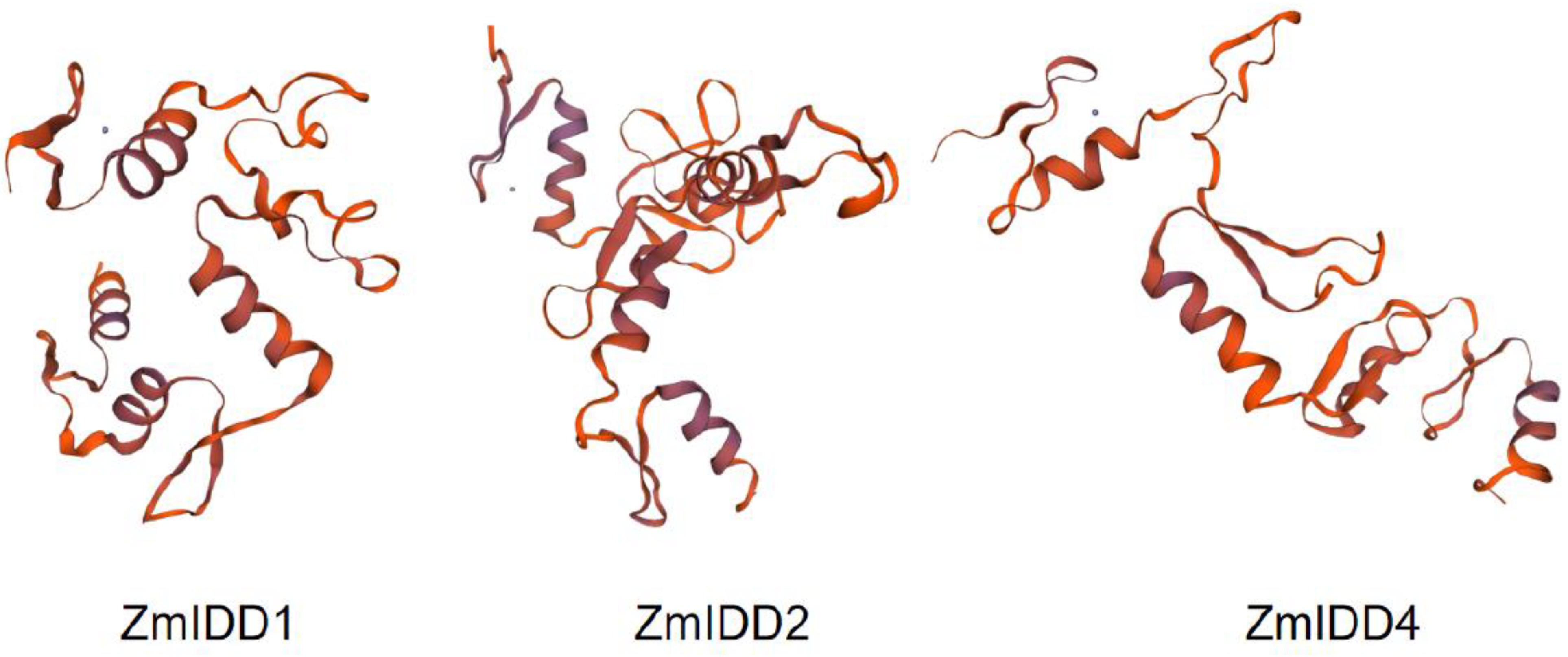 Ijms 24 06185 g004 Ijms 24 06185 g004