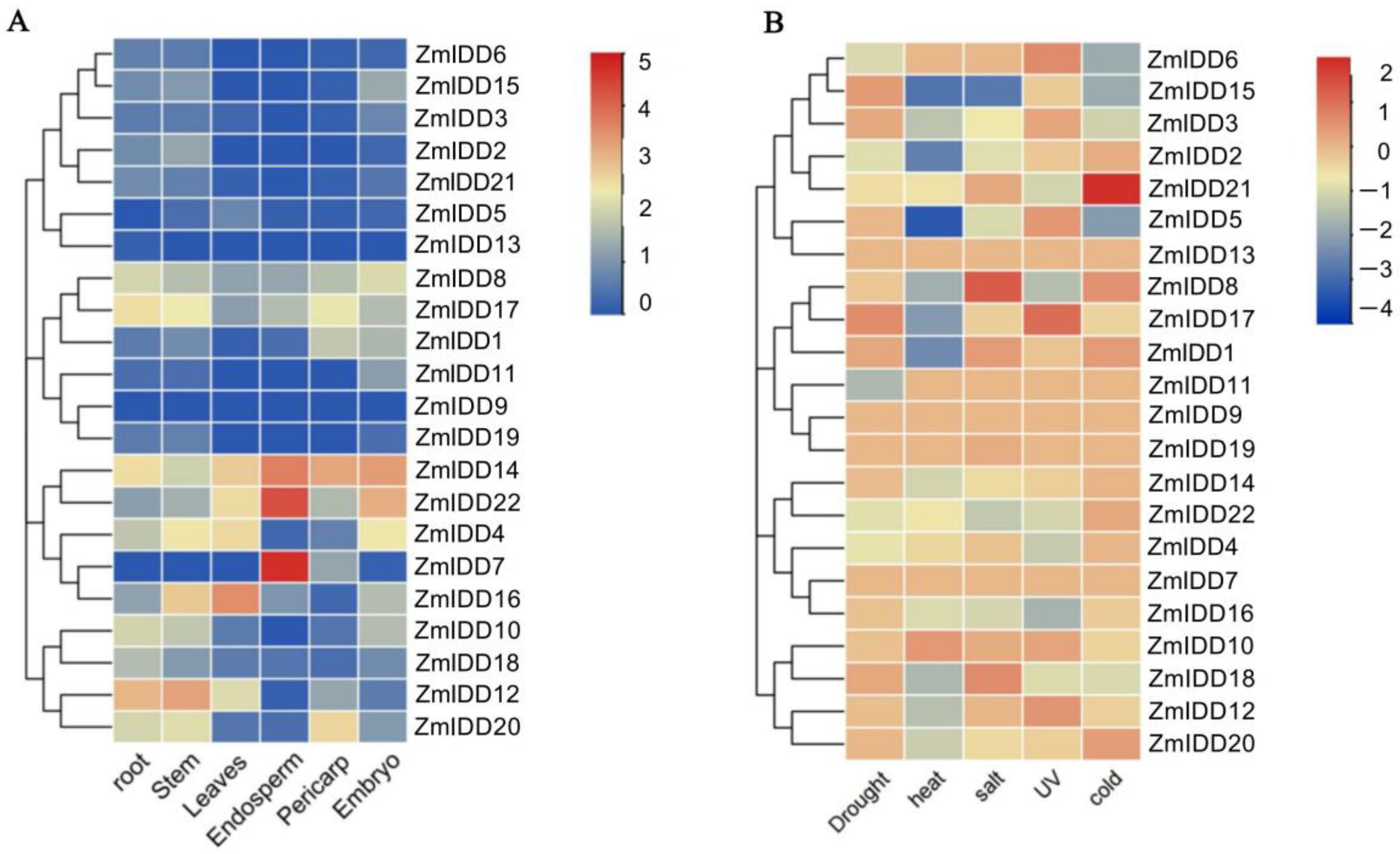 Ijms 24 06185 g008 Ijms 24 06185 g008