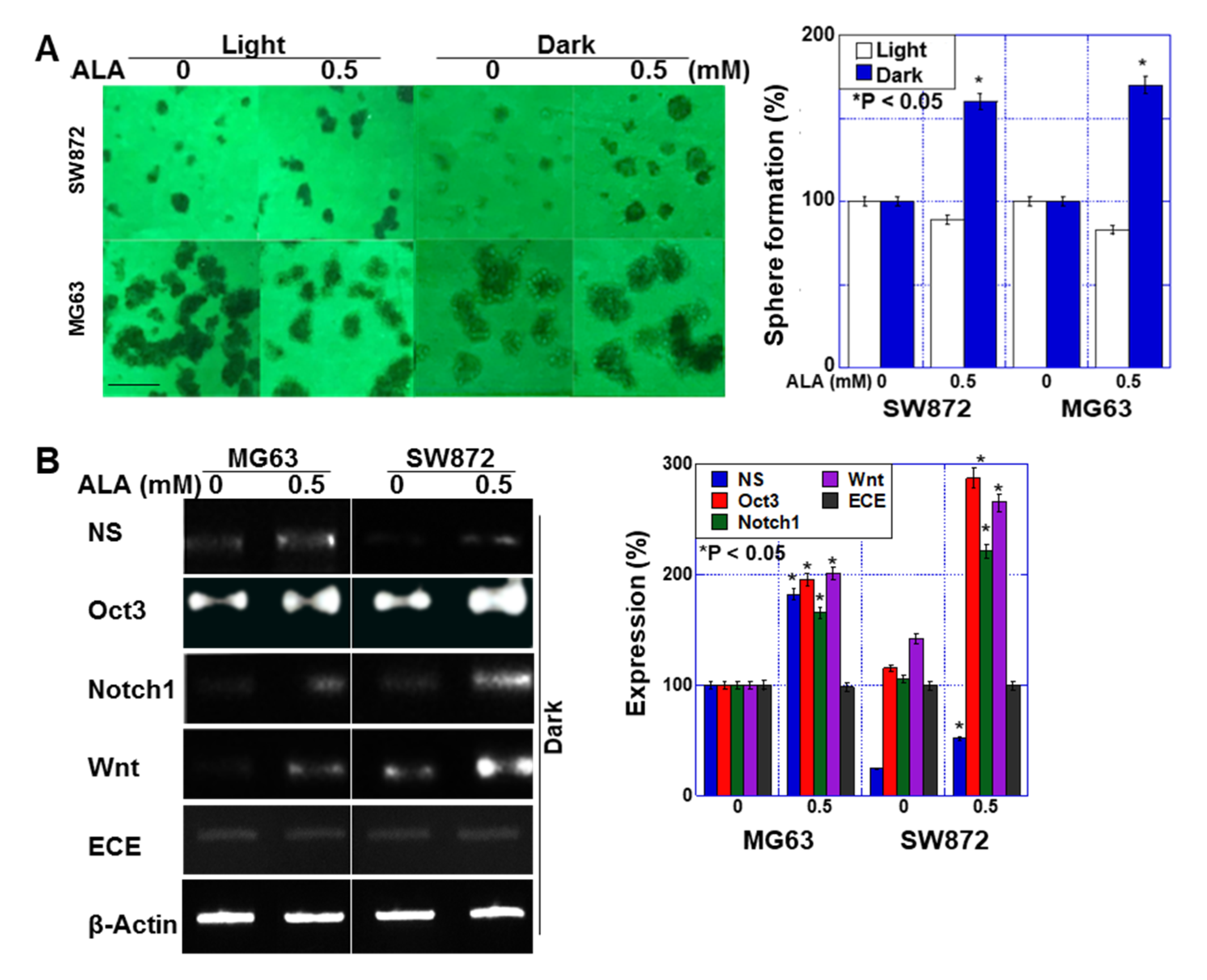 Ijms 24 06189 g003 550
