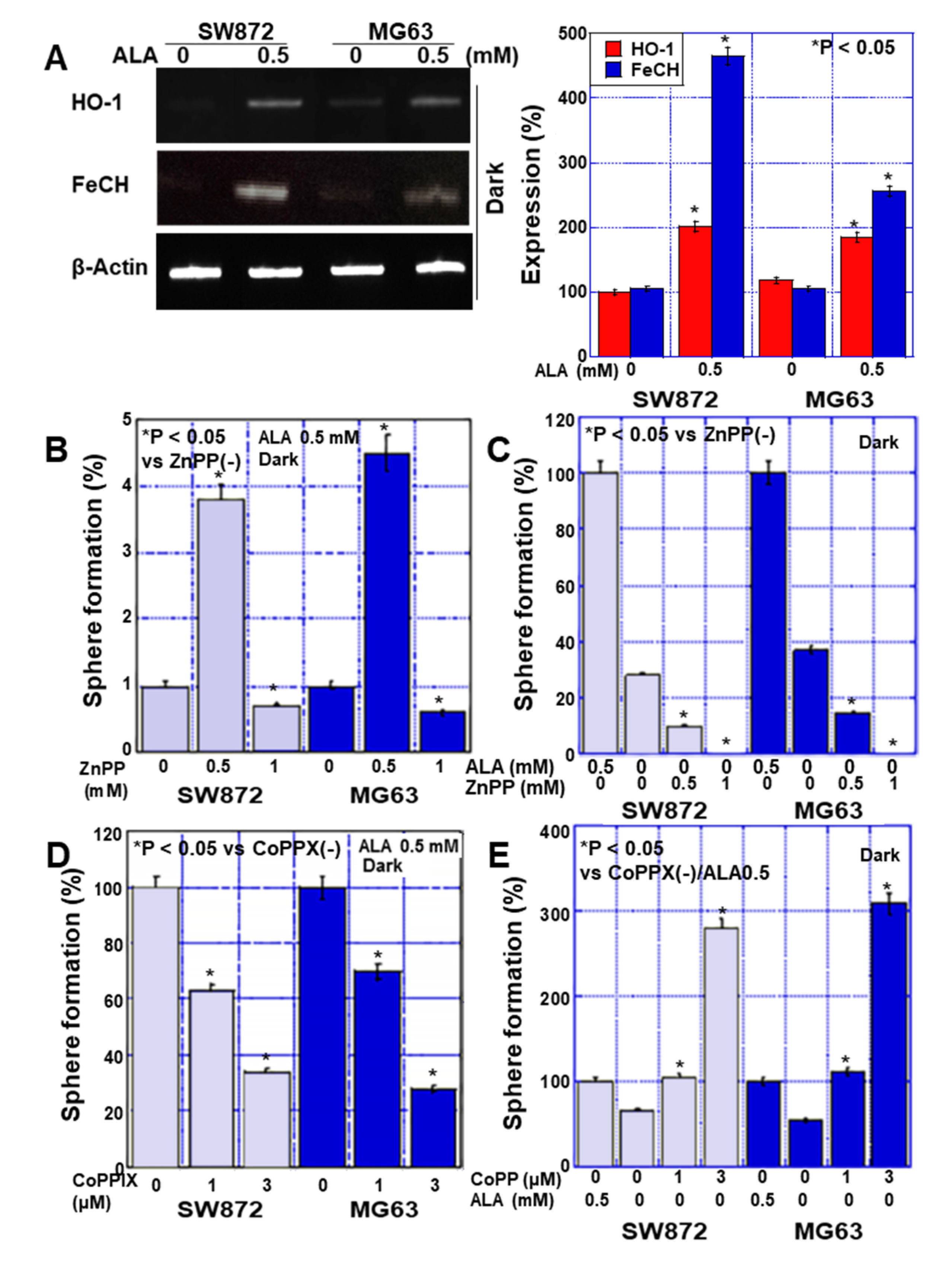 Ijms 24 06189 g004 550