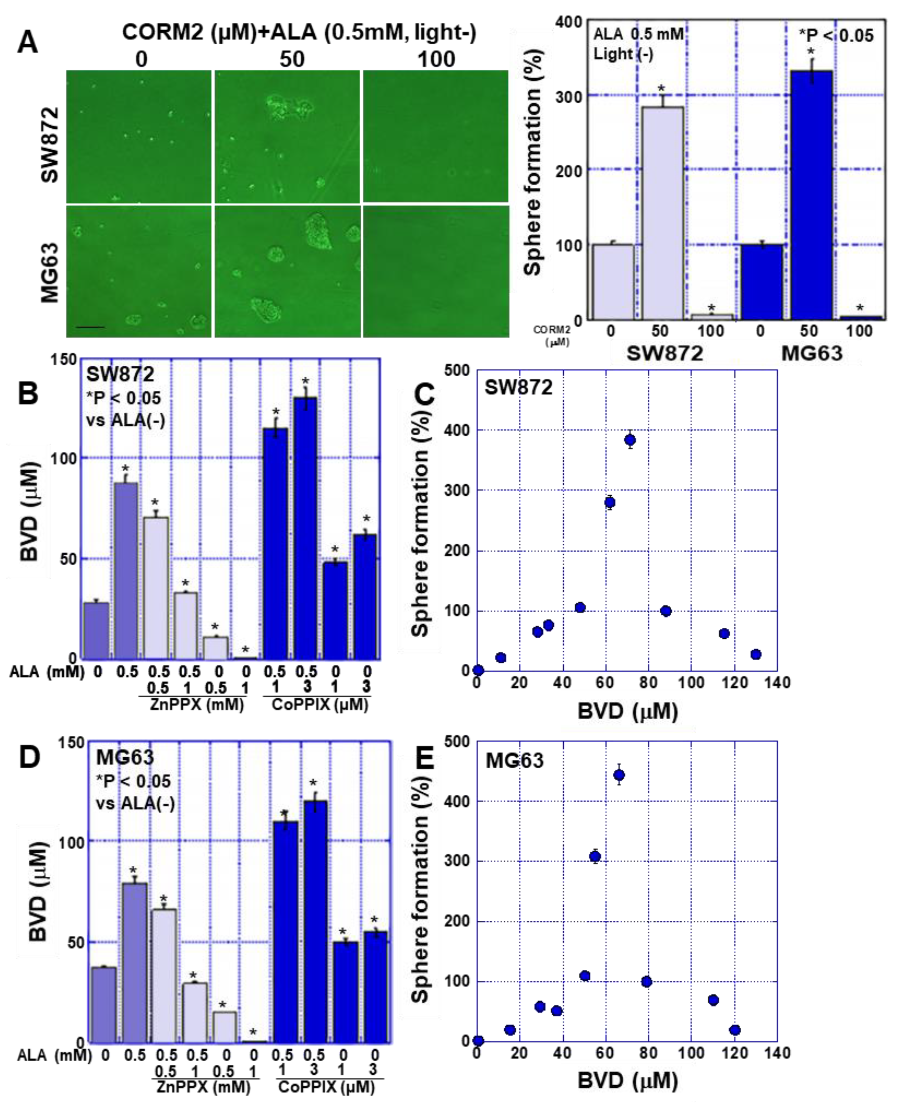 Ijms 24 06189 g005 550