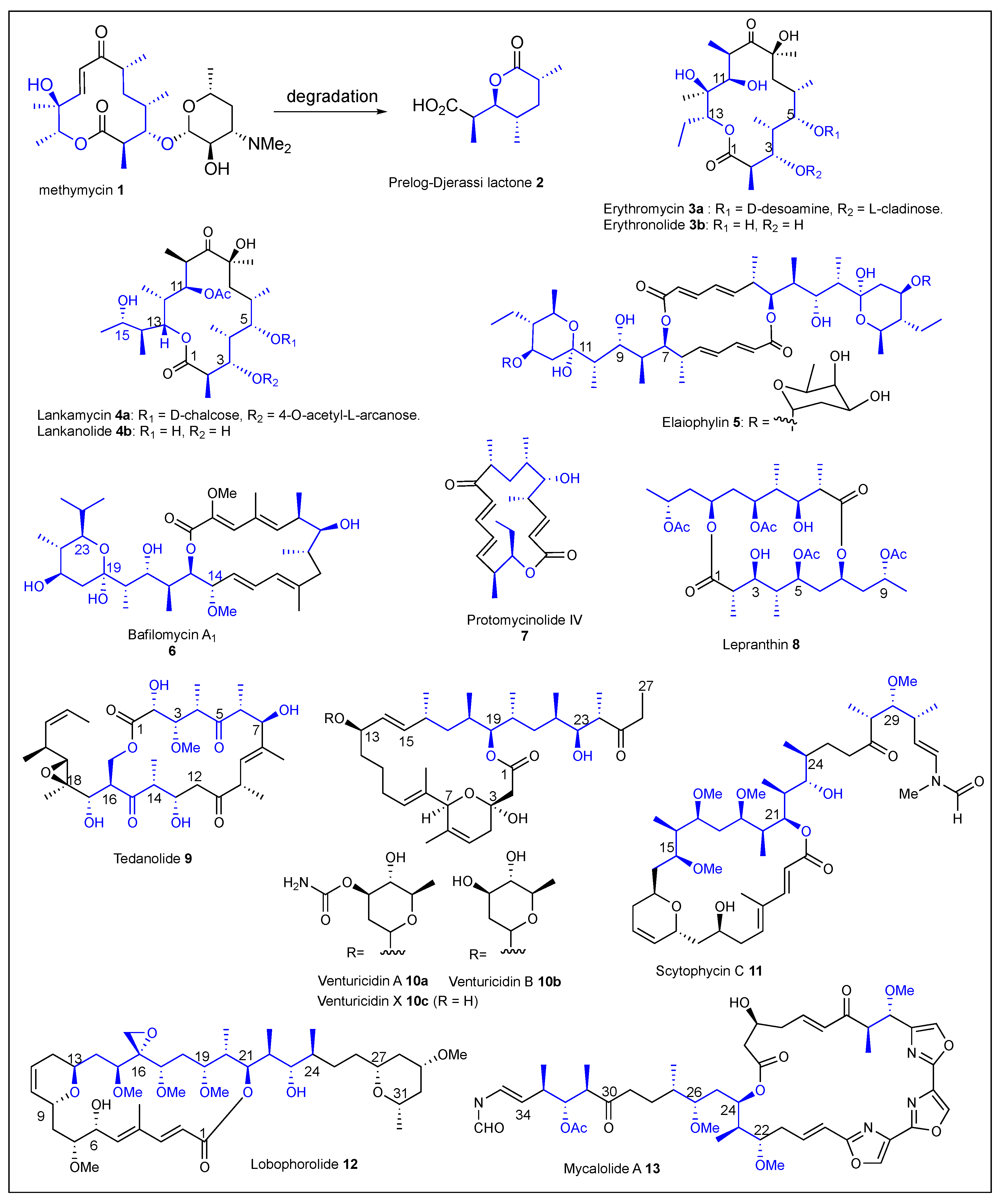 Ijms 24 06195 g004 Ijms 24 06195 g004