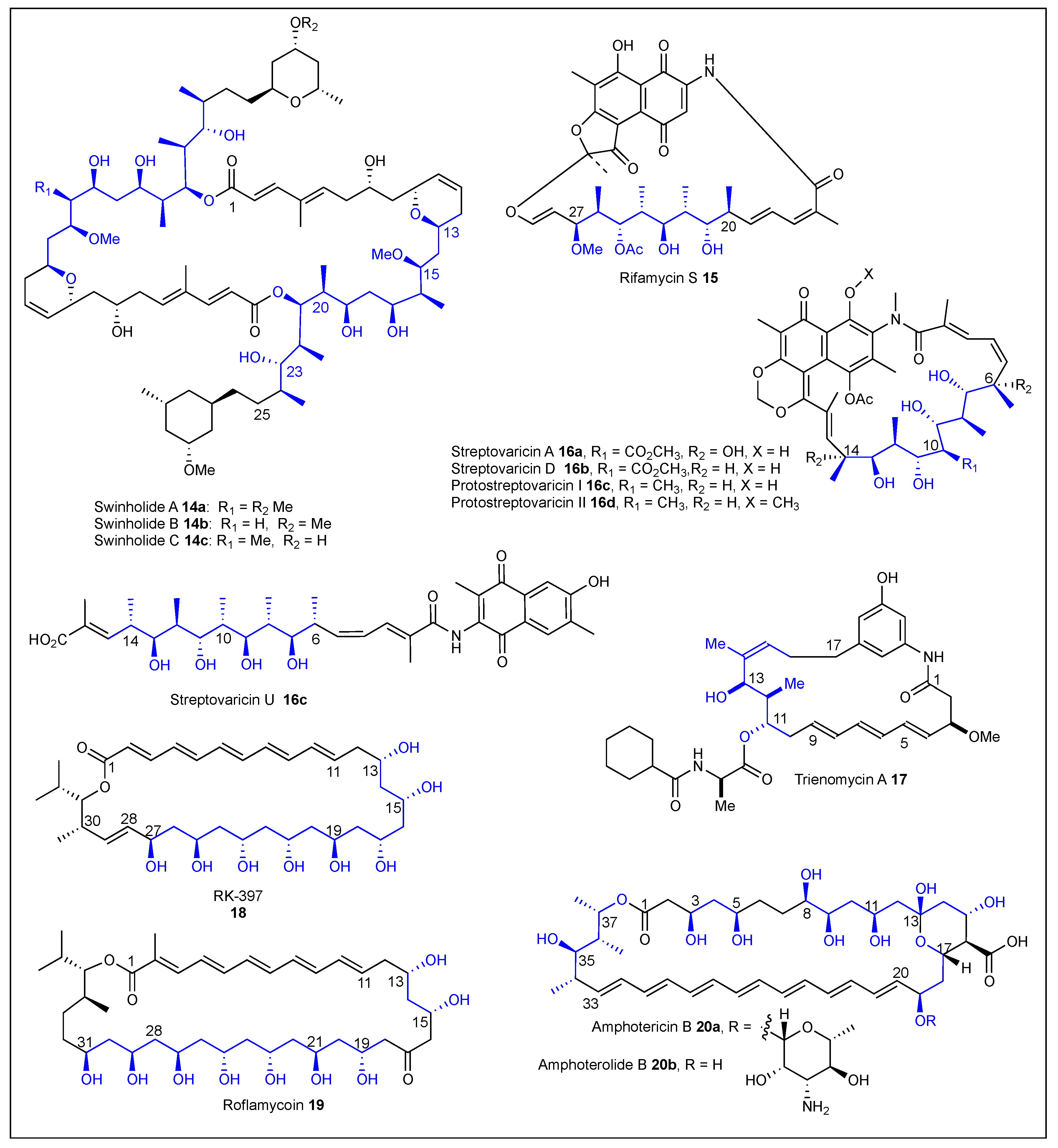 Ijms 24 06195 g005 Ijms 24 06195 g005