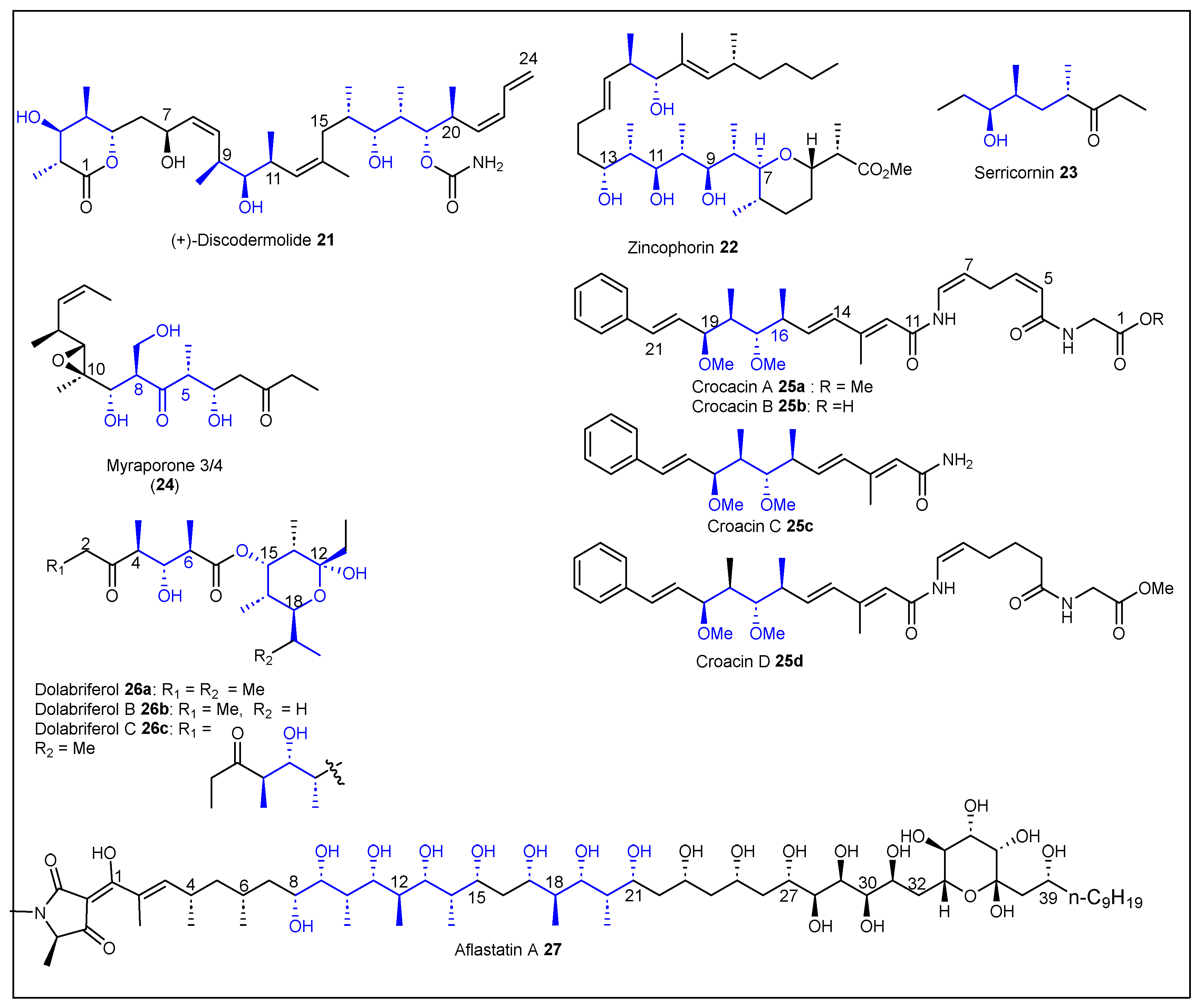Ijms 24 06195 g006 Ijms 24 06195 g006