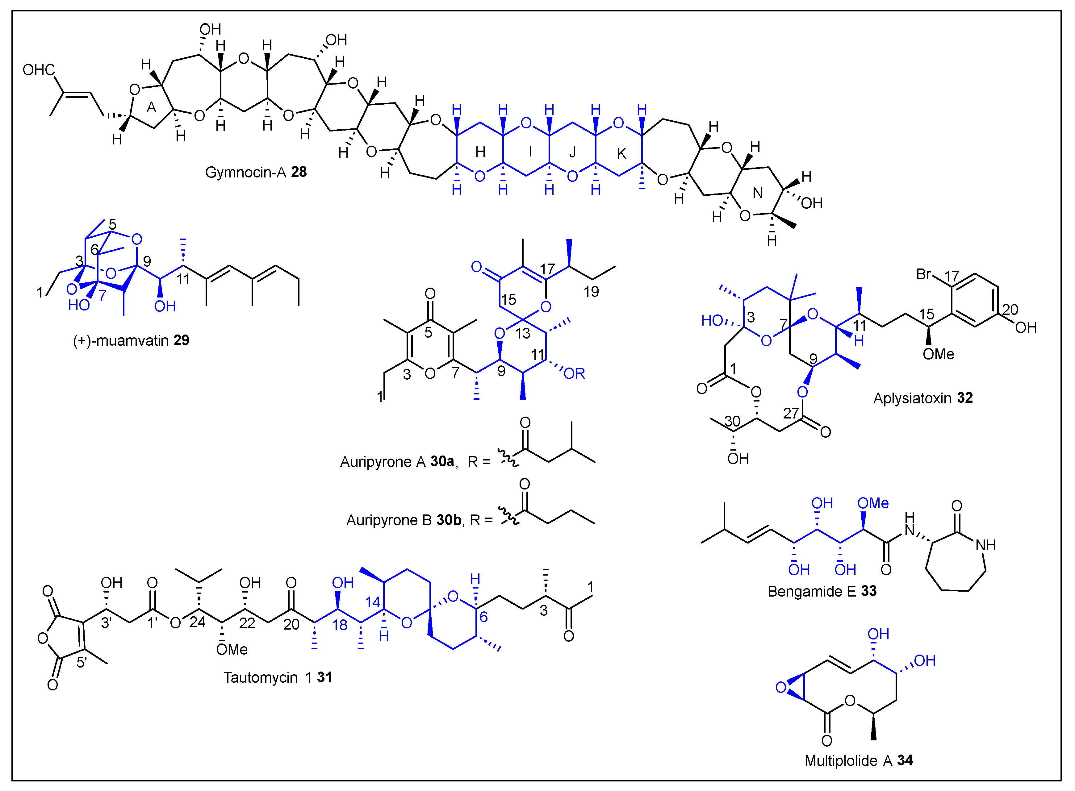 Ijms 24 06195 g007 Ijms 24 06195 g007