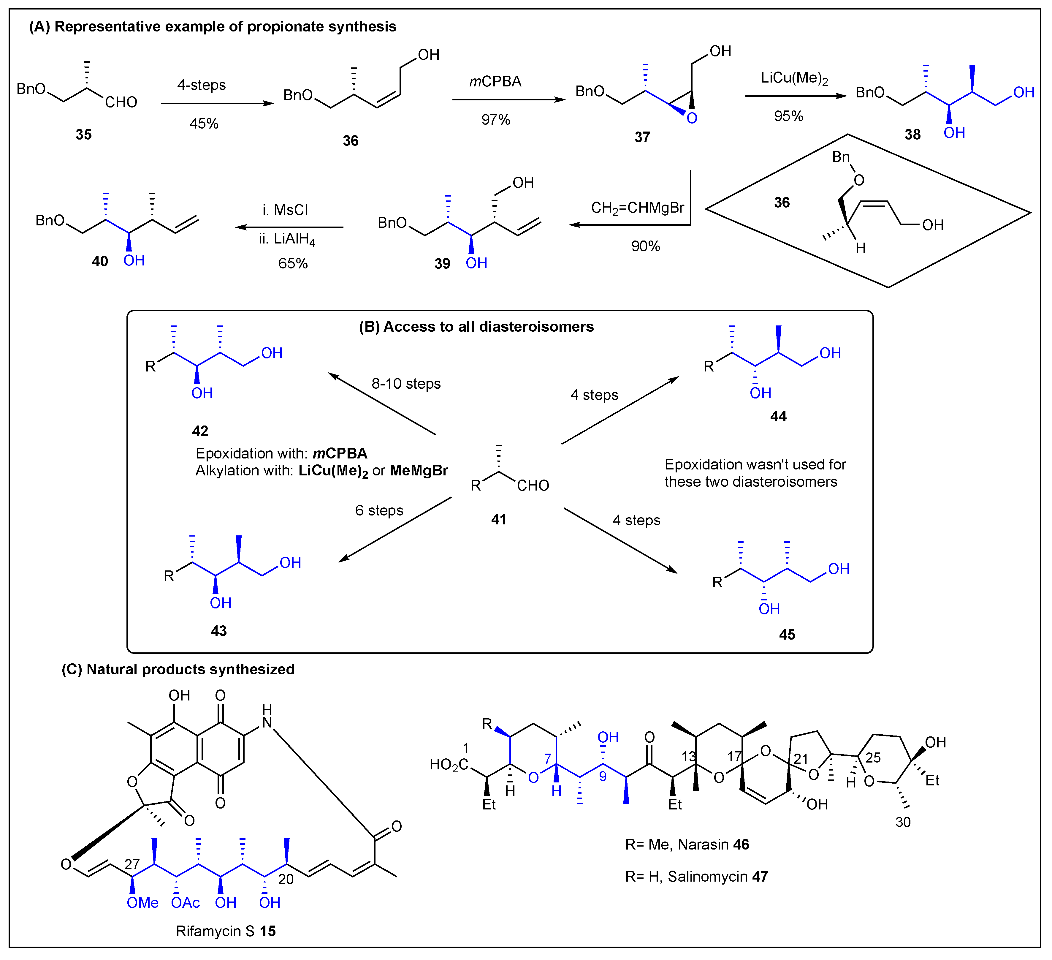 Ijms 24 06195 g008 Ijms 24 06195 g008