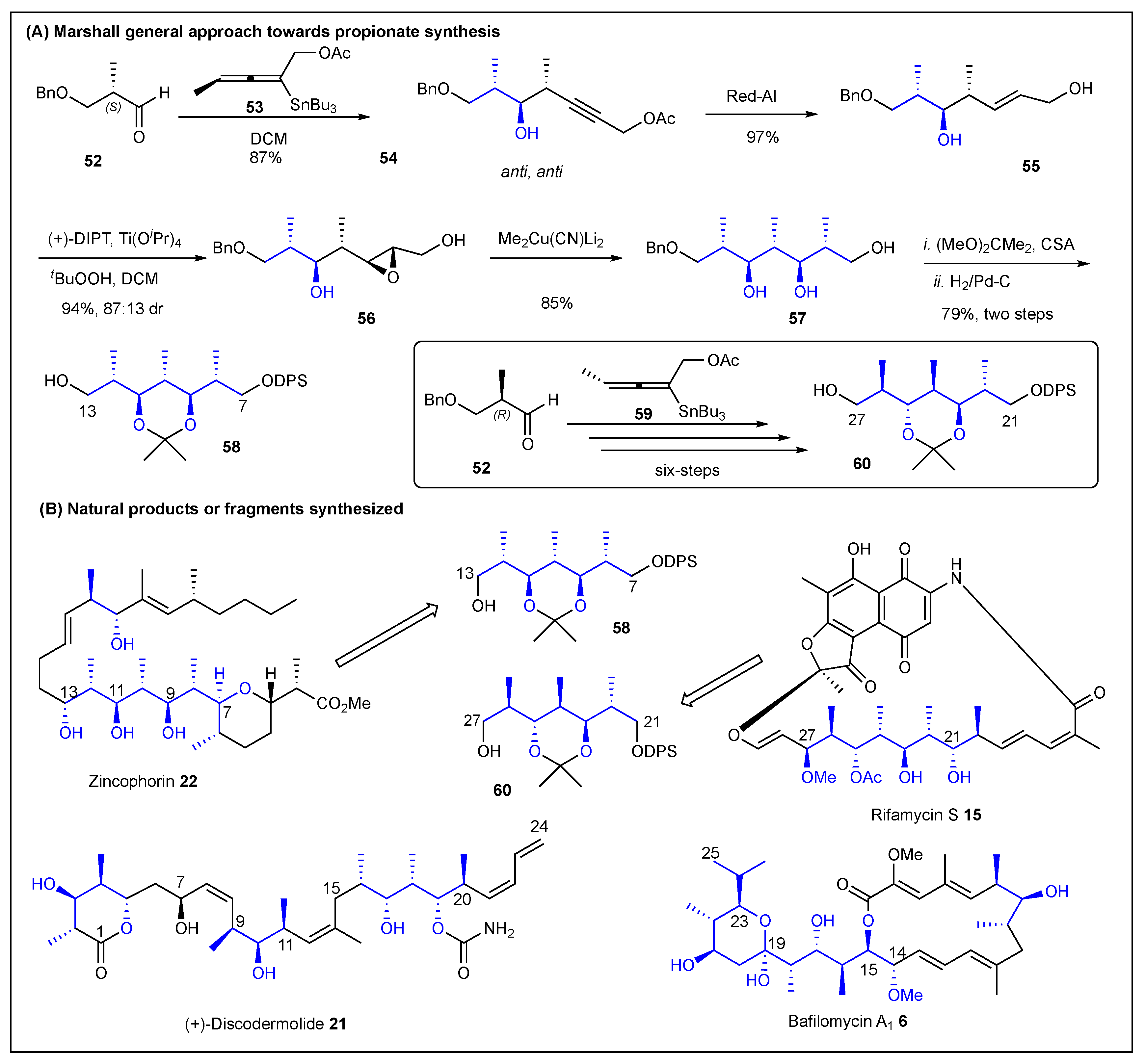 Ijms 24 06195 g010 Ijms 24 06195 g010