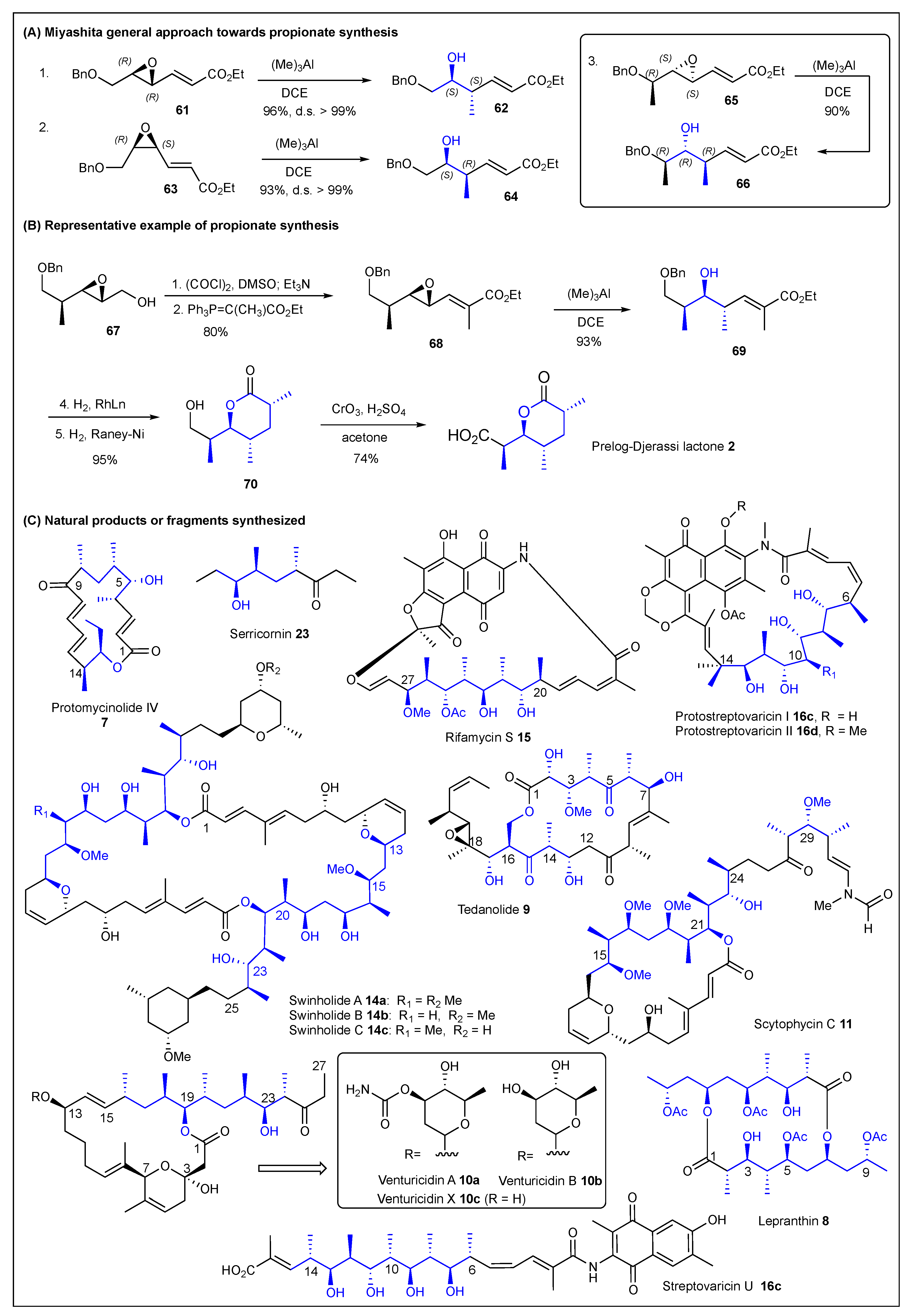 Ijms 24 06195 g011 Ijms 24 06195 g011