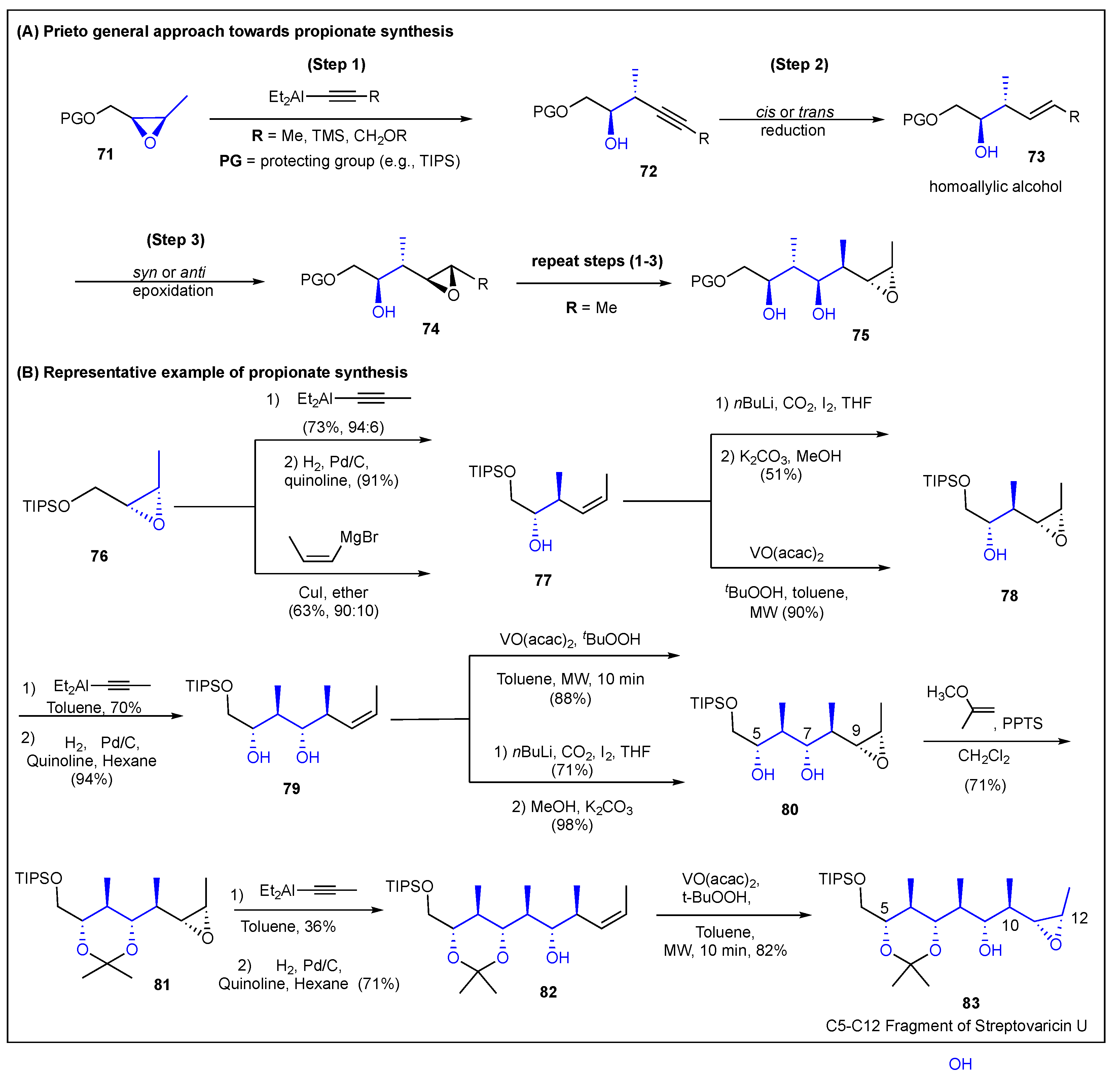 Ijms 24 06195 g012 Ijms 24 06195 g012