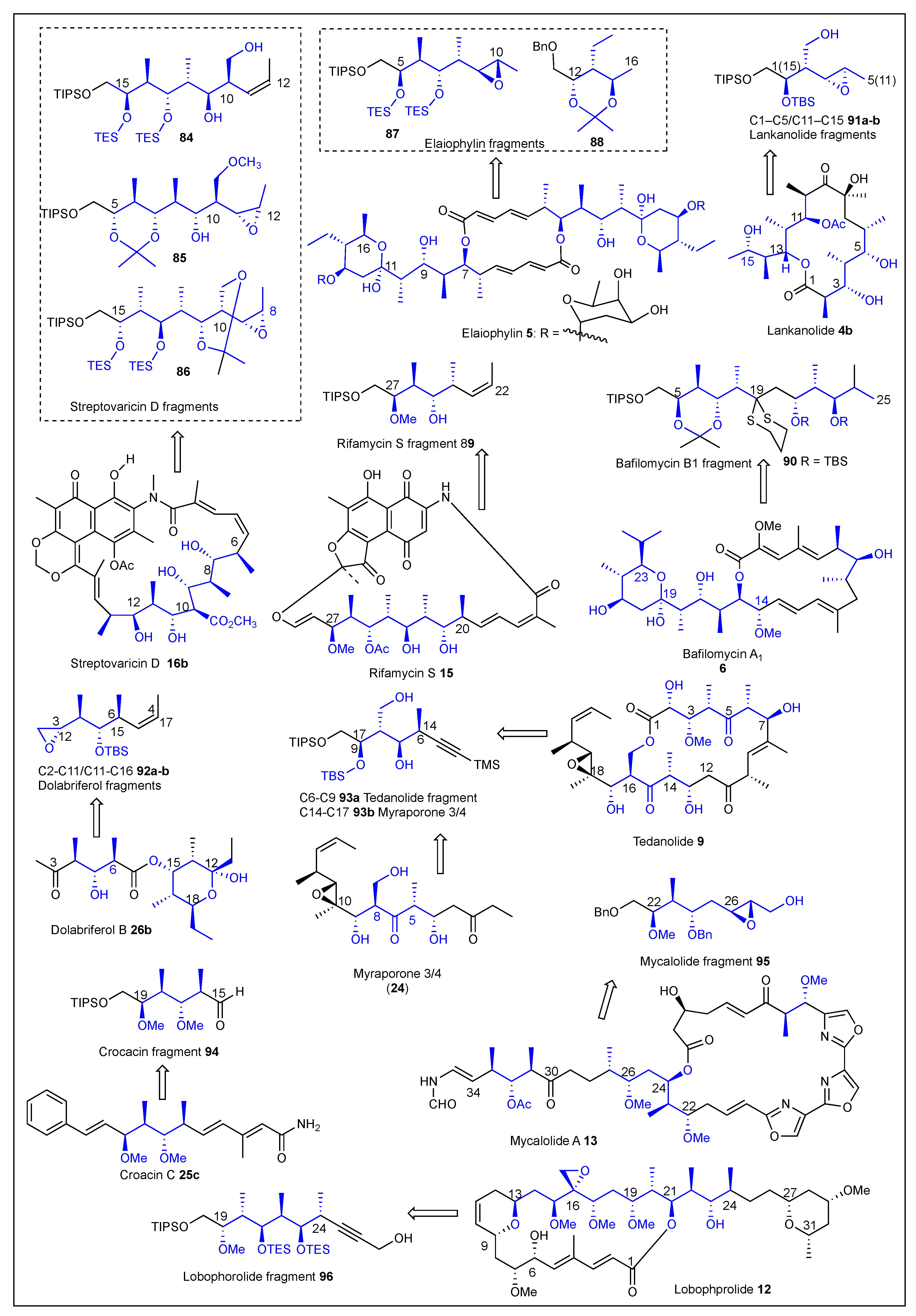 Ijms 24 06195 g013 Ijms 24 06195 g013
