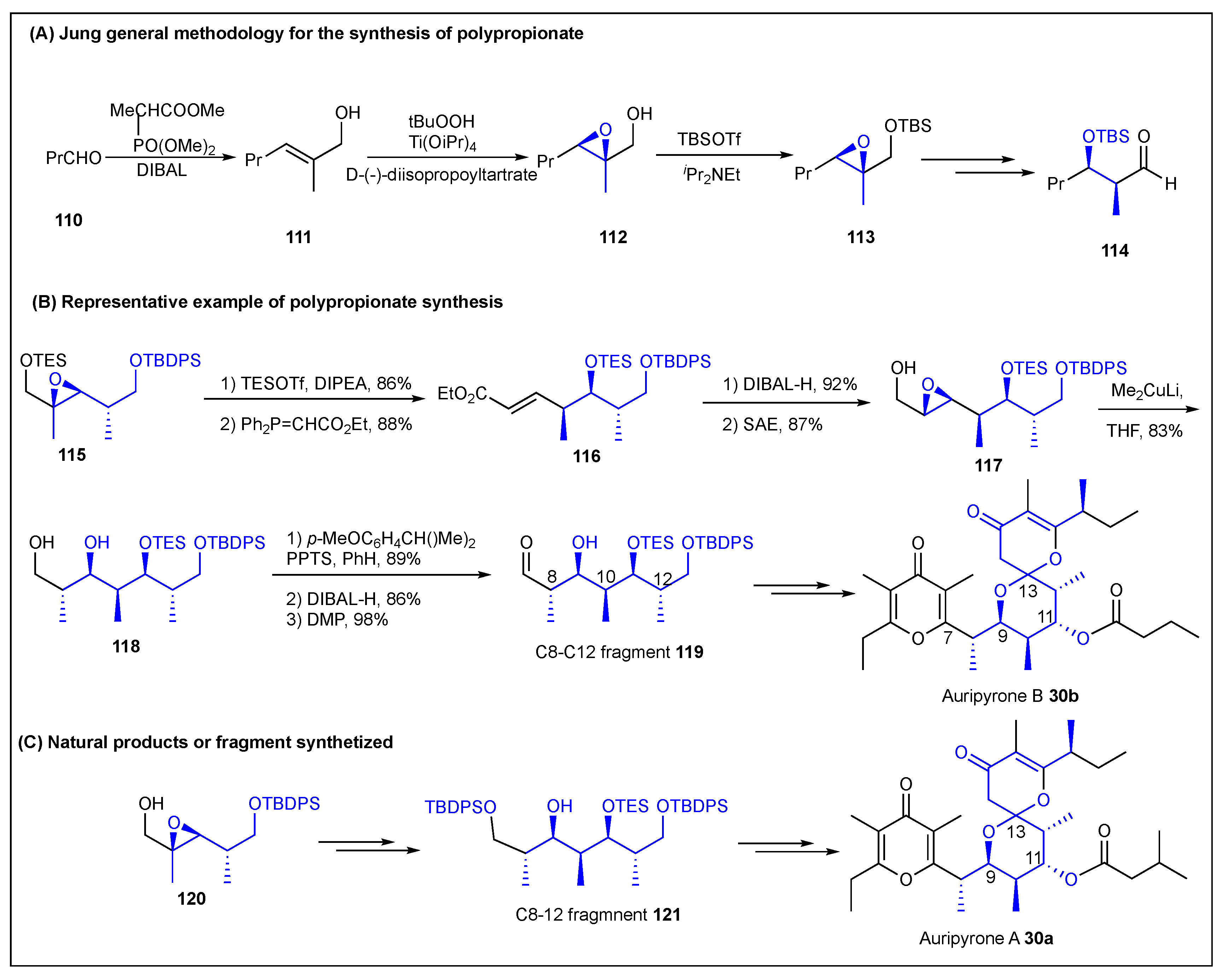 Ijms 24 06195 g015 Ijms 24 06195 g015