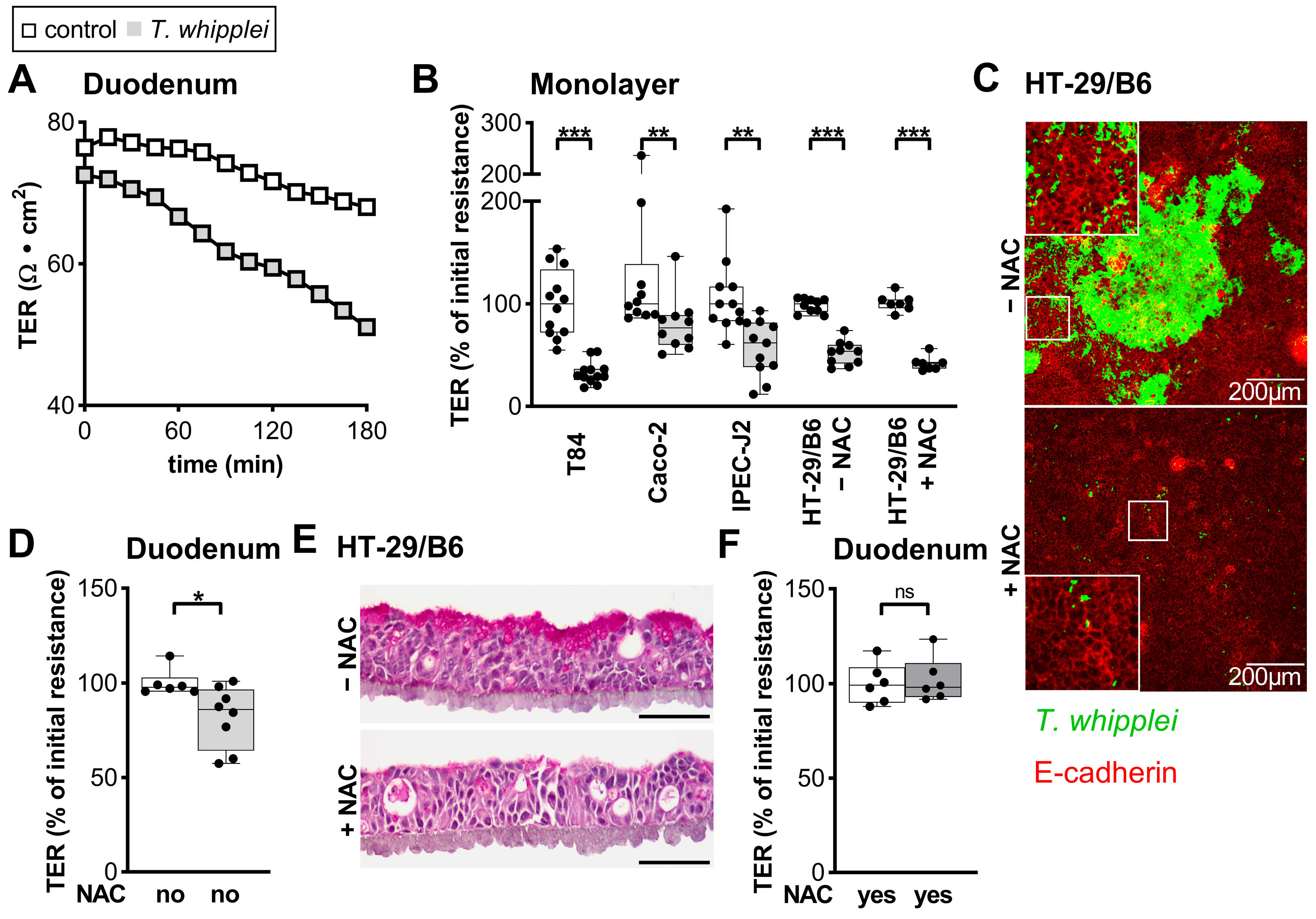Ijms 24 06197 g004 Ijms 24 06197 g004