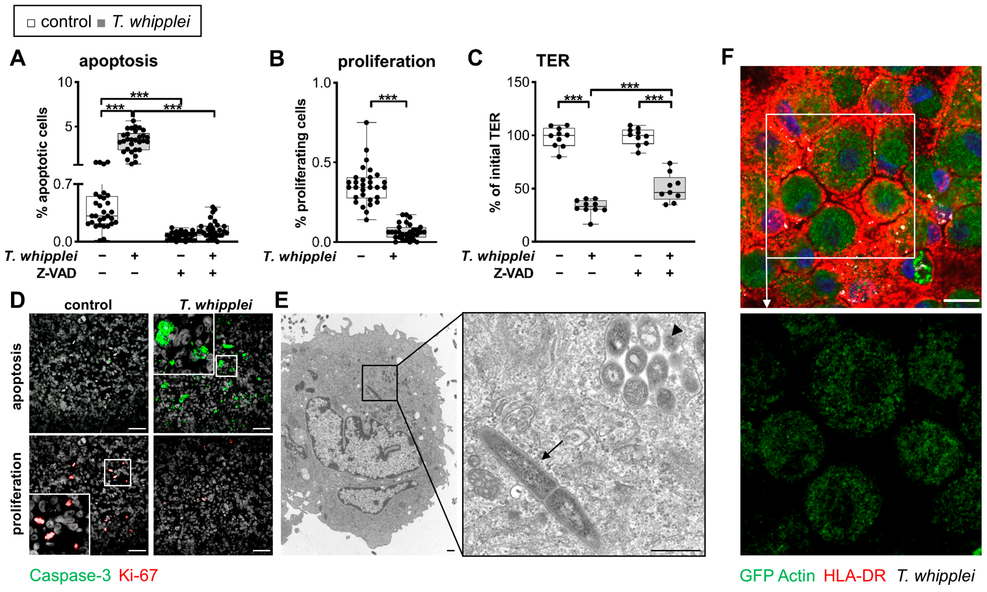 Ijms 24 06197 g005 Ijms 24 06197 g005