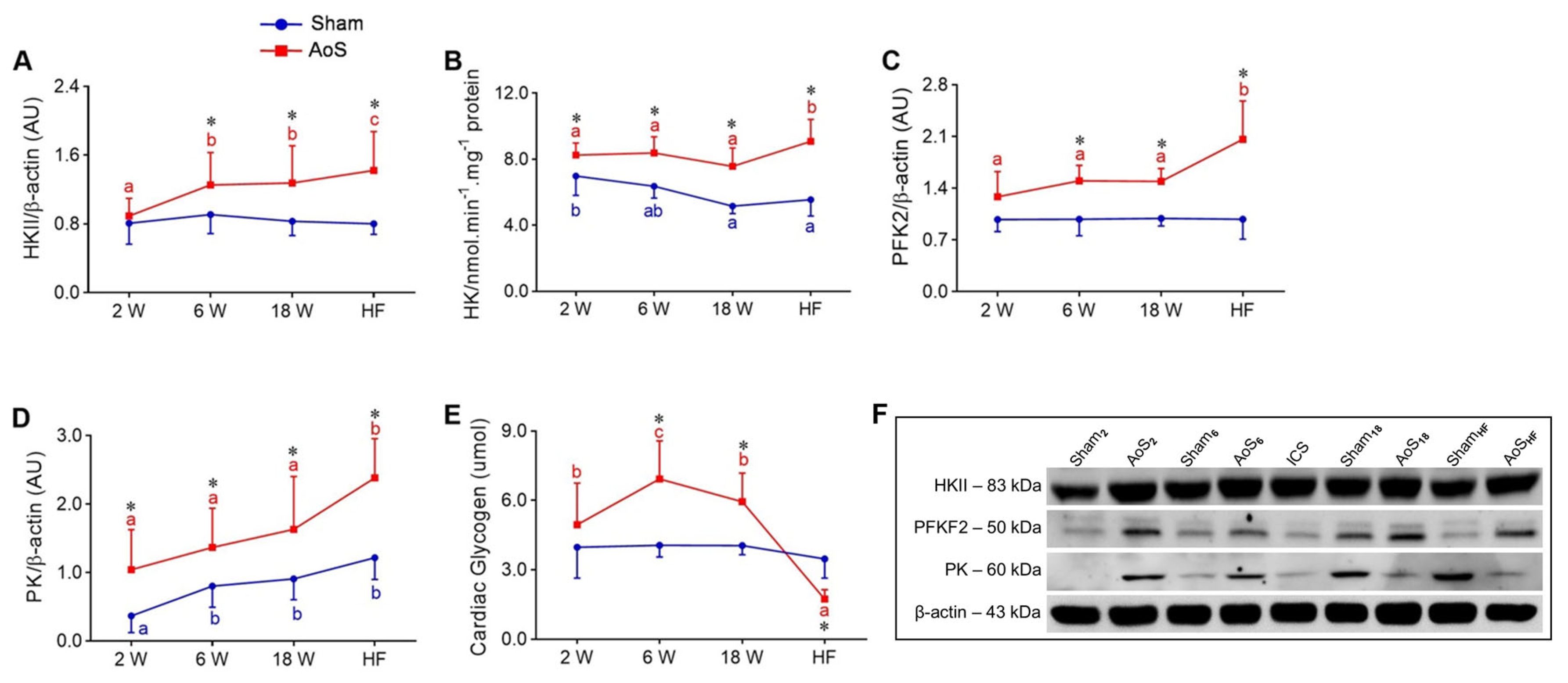 Ijms 24 06201 g007 Ijms 24 06201 g007