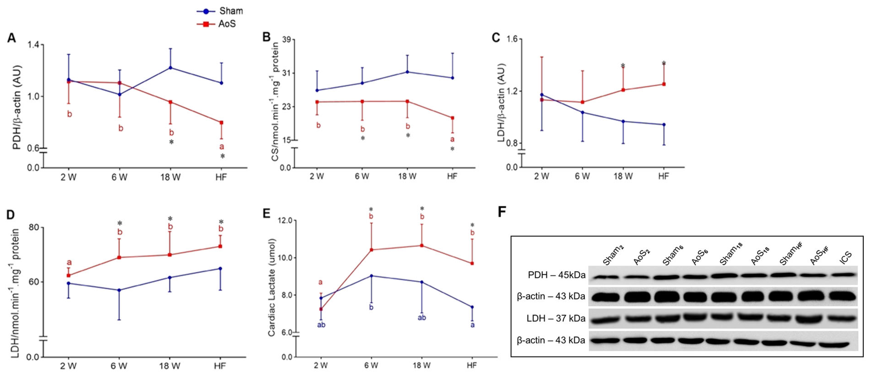 Ijms 24 06201 g008 Ijms 24 06201 g008