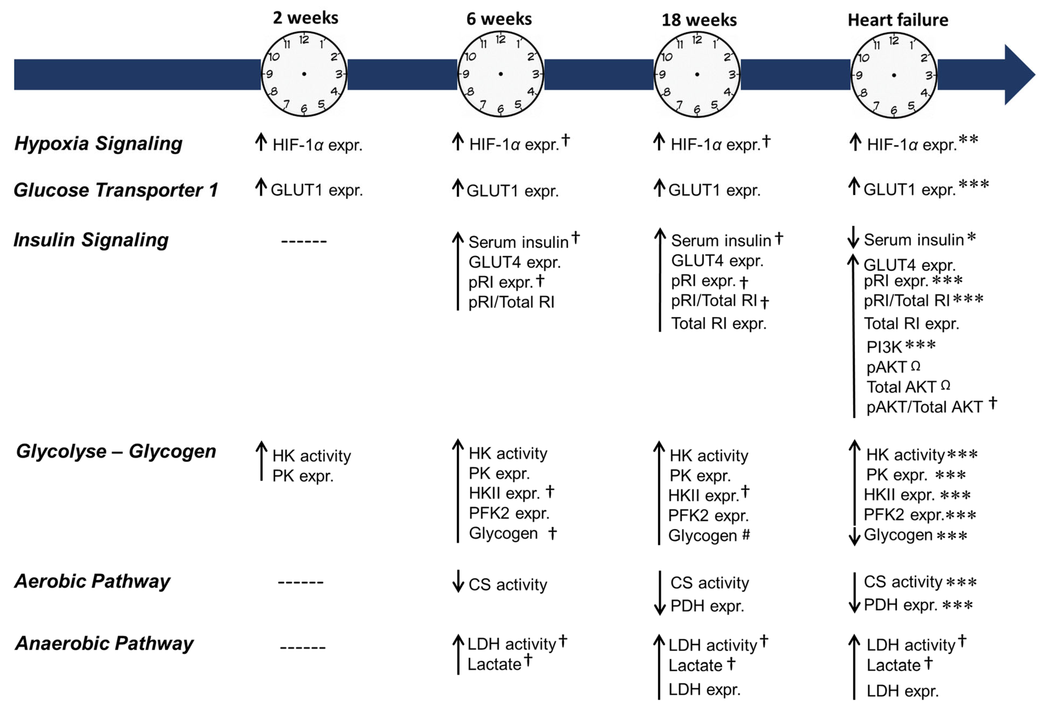 Ijms 24 06201 g009 Ijms 24 06201 g009