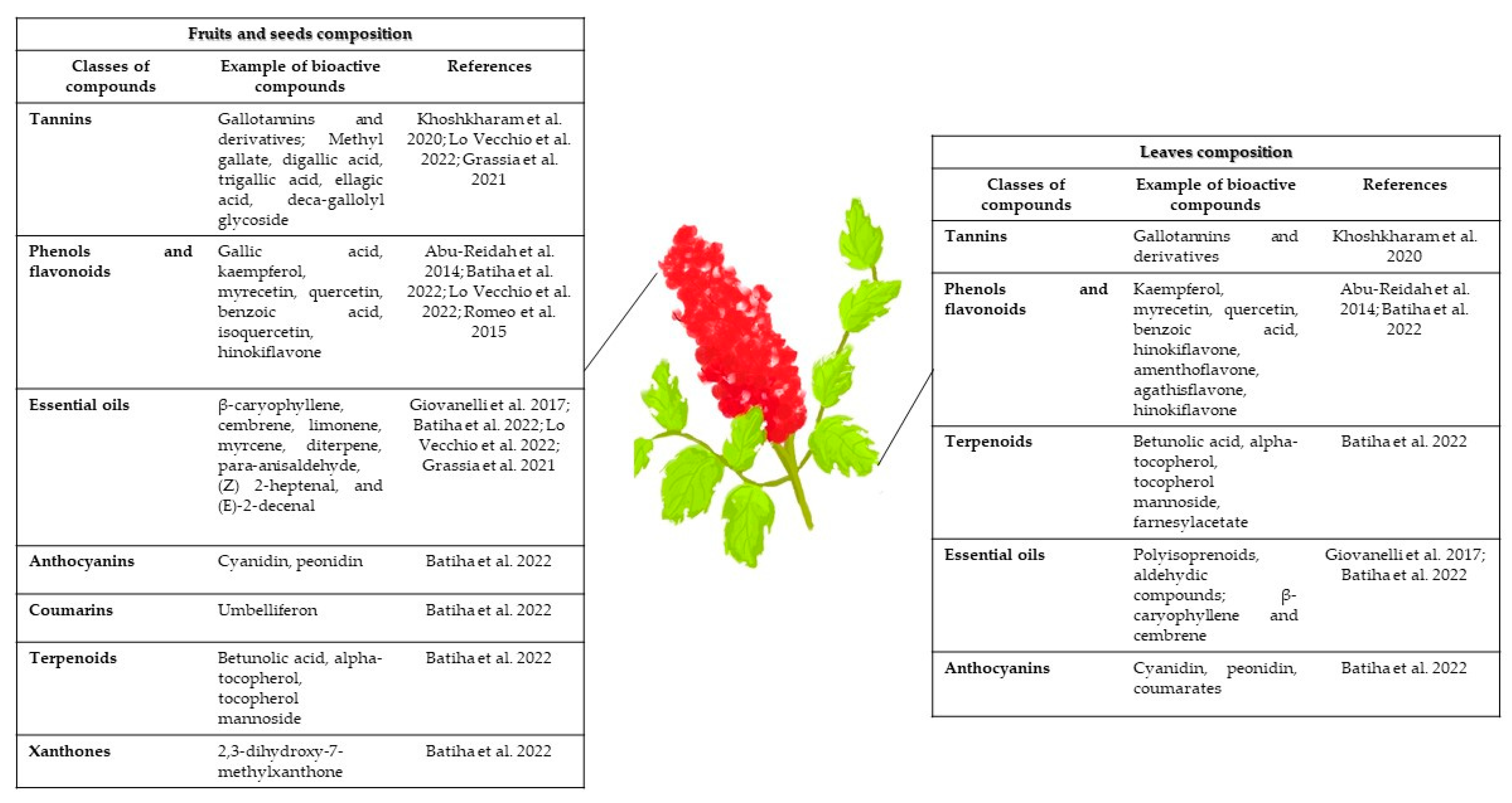 Ijms 24 06206 g001 Ijms 24 06206 g001