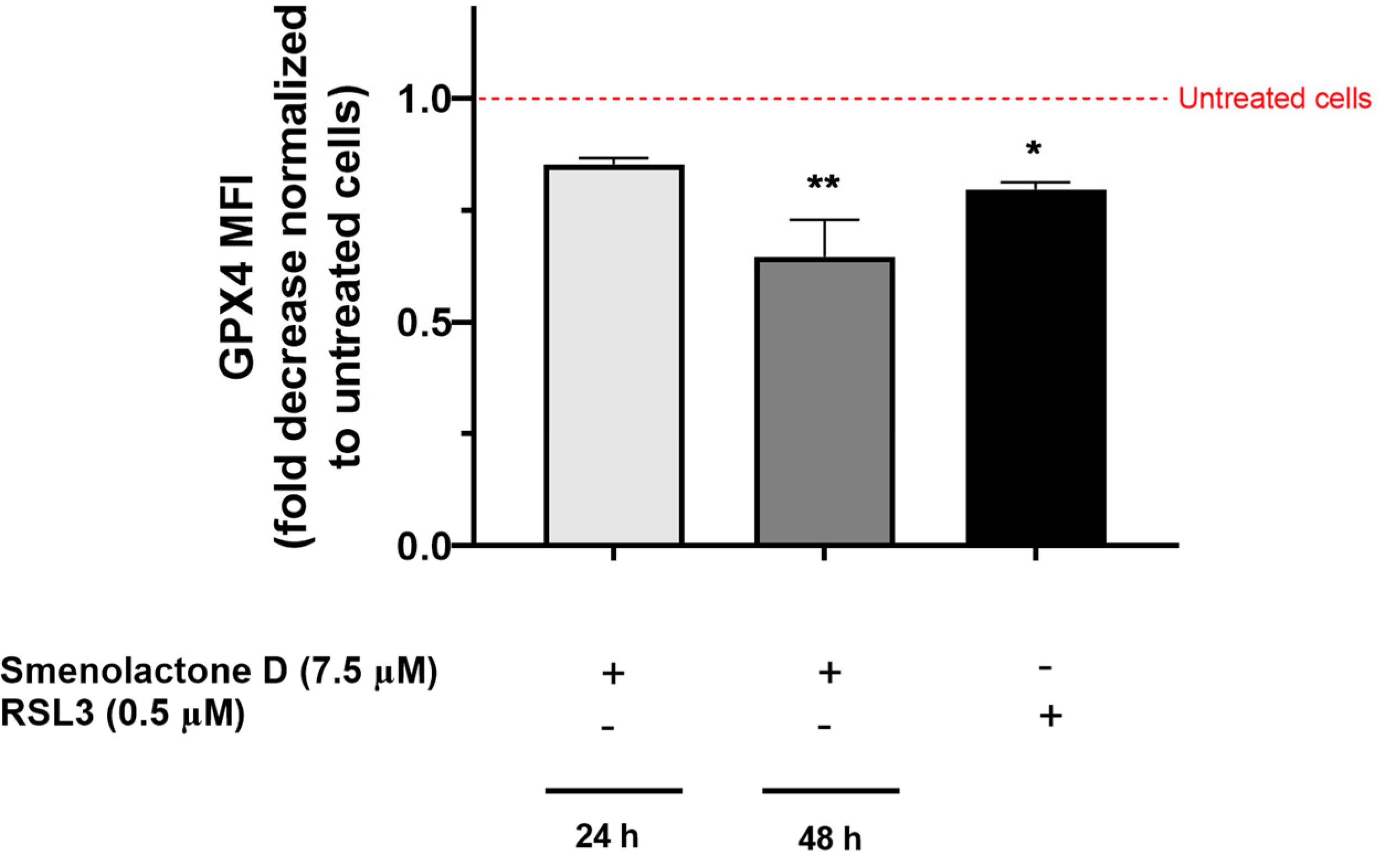 Ijms 24 06208 g008 Ijms 24 06208 g008
