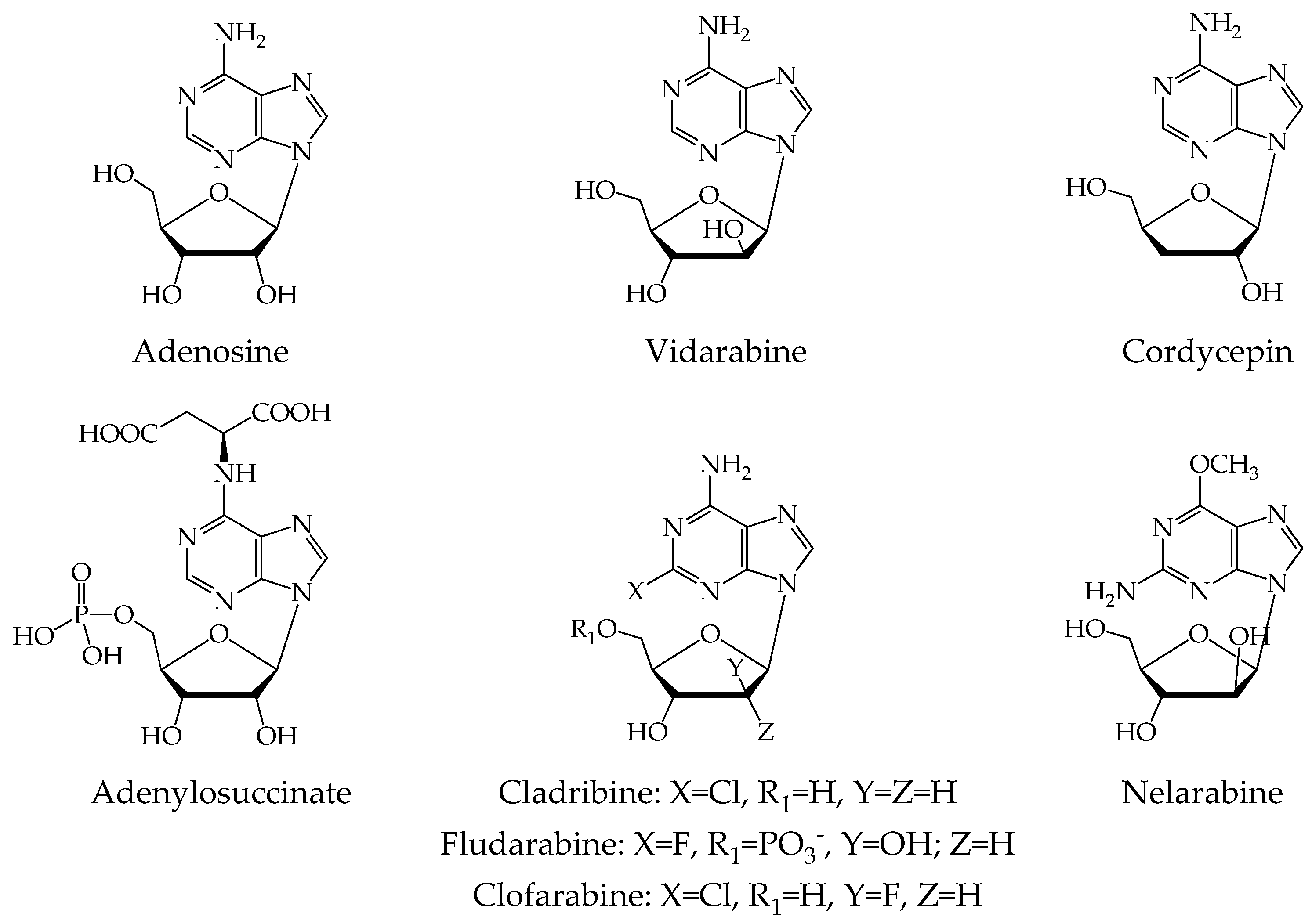 Ijms 24 06223 g001 Ijms 24 06223 g001