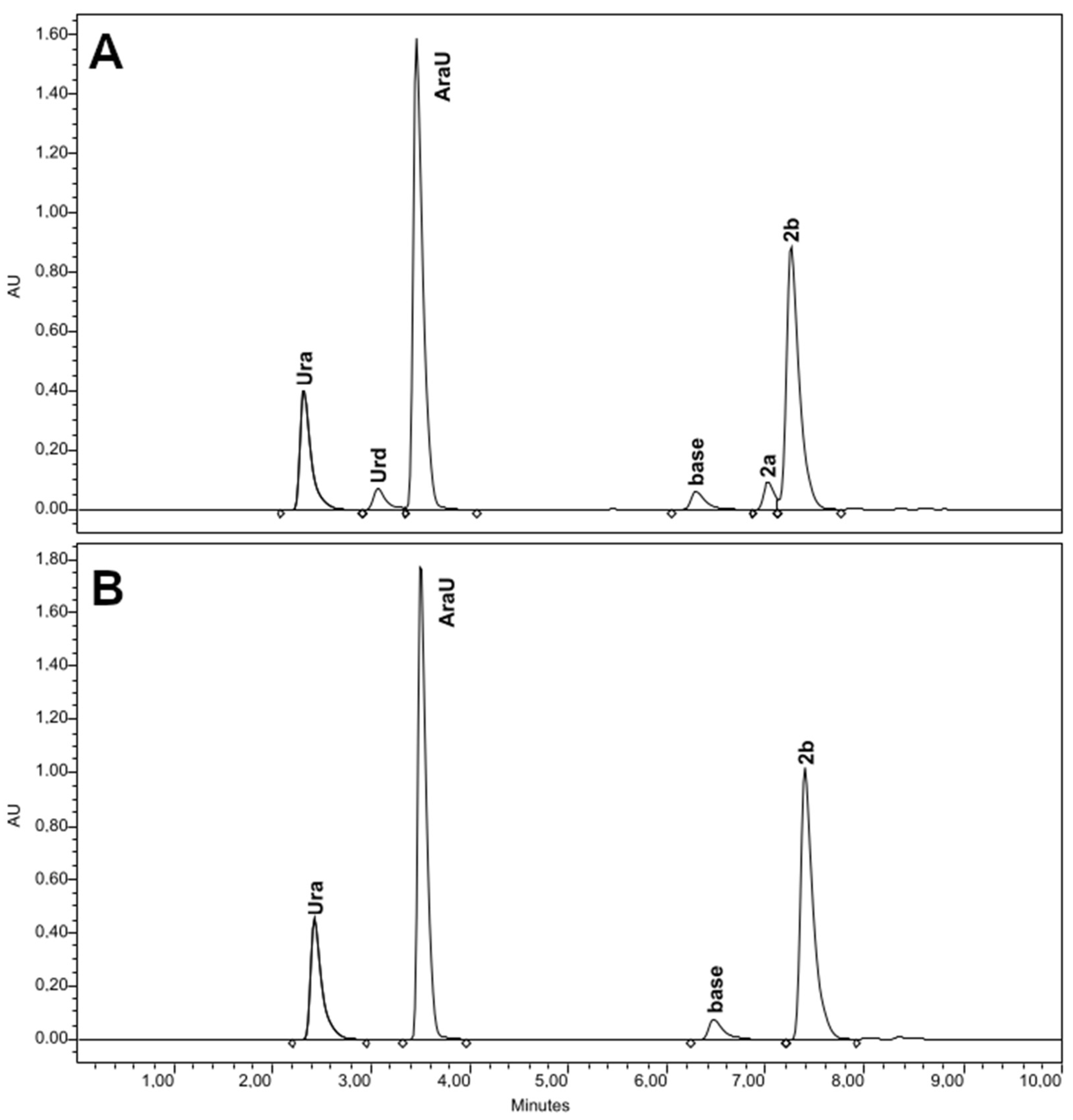 Ijms 24 06223 g004 Ijms 24 06223 g004