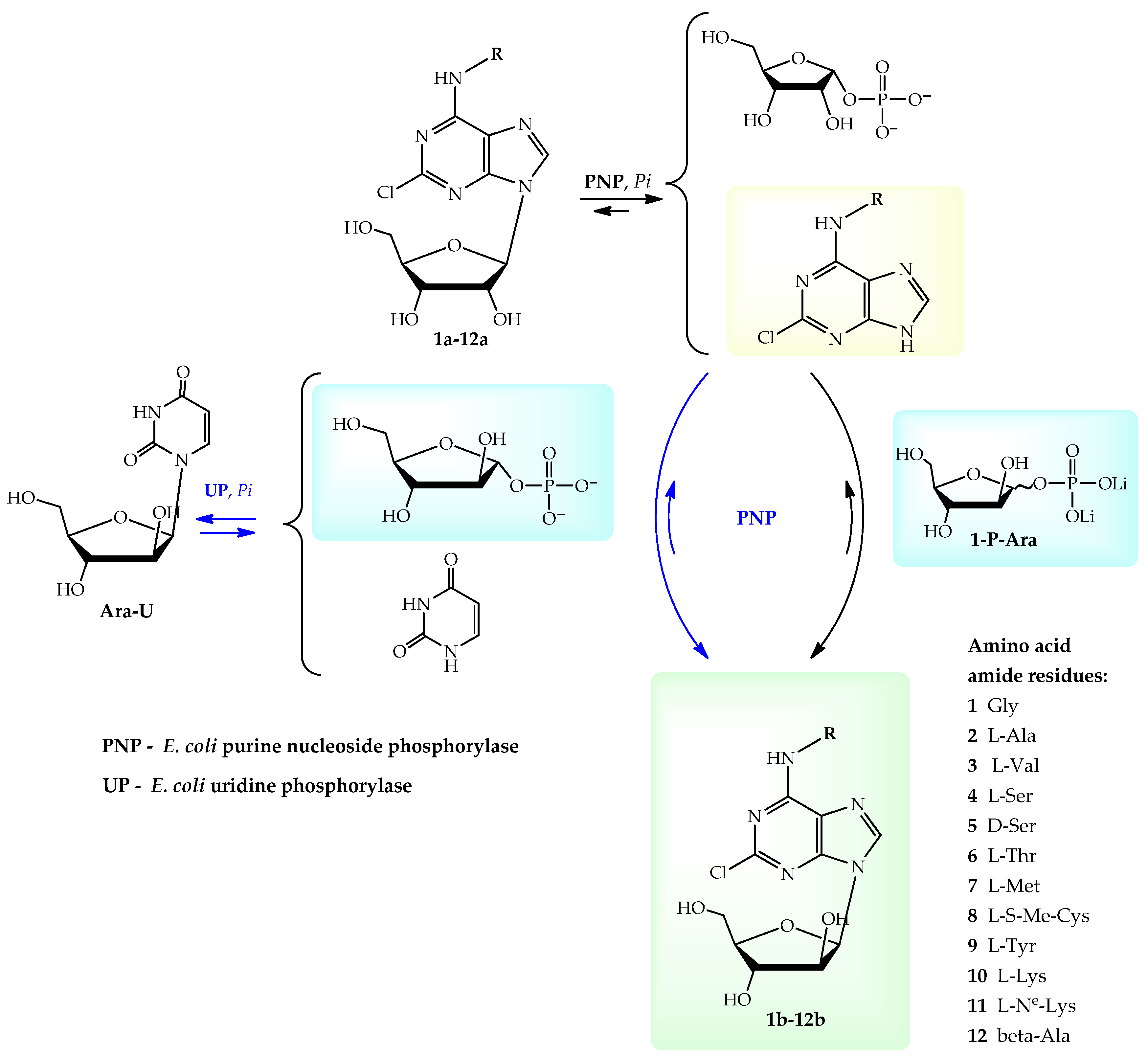 Ijms 24 06223 sch001 Ijms 24 06223 sch001