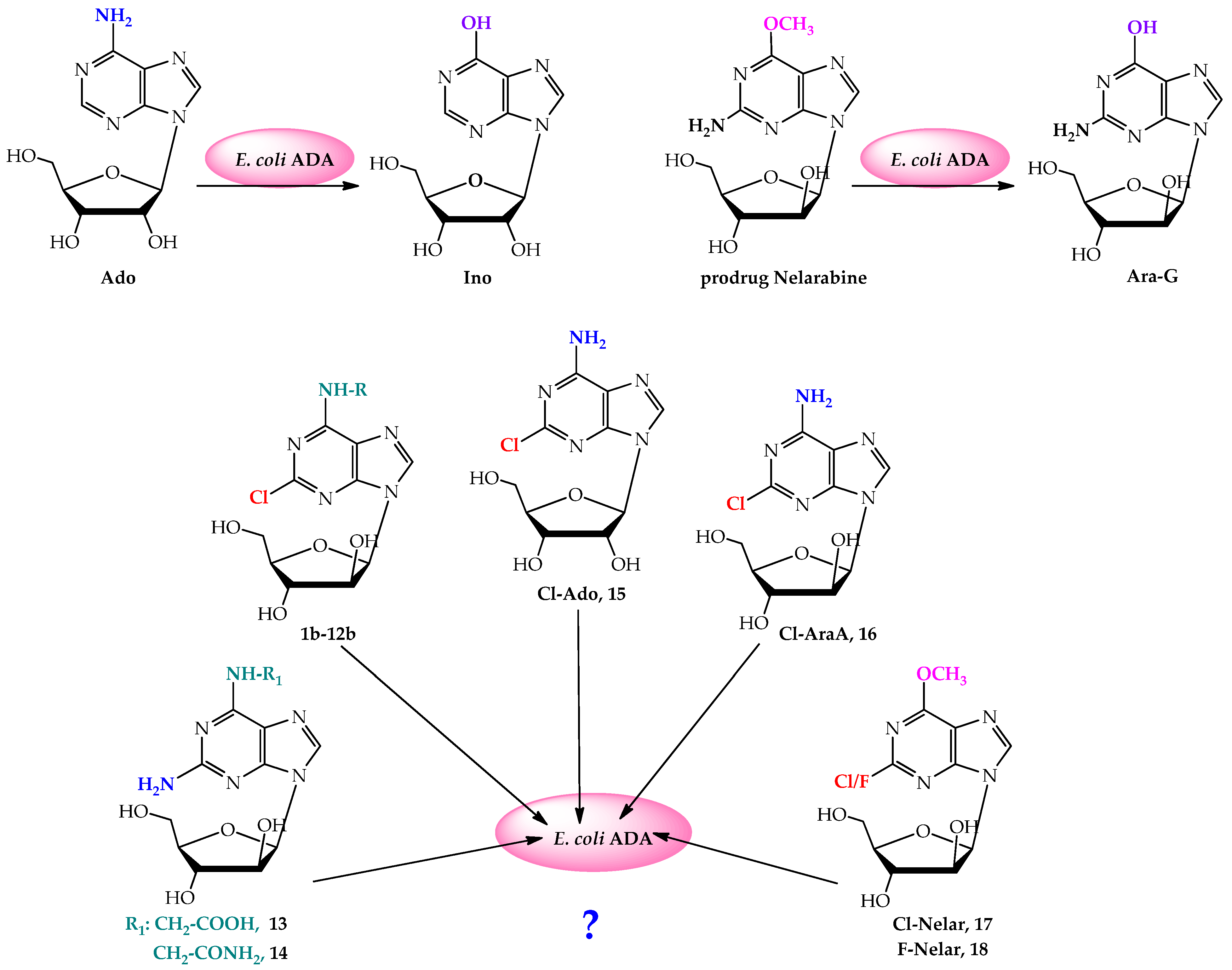 Ijms 24 06223 sch003 Ijms 24 06223 sch003