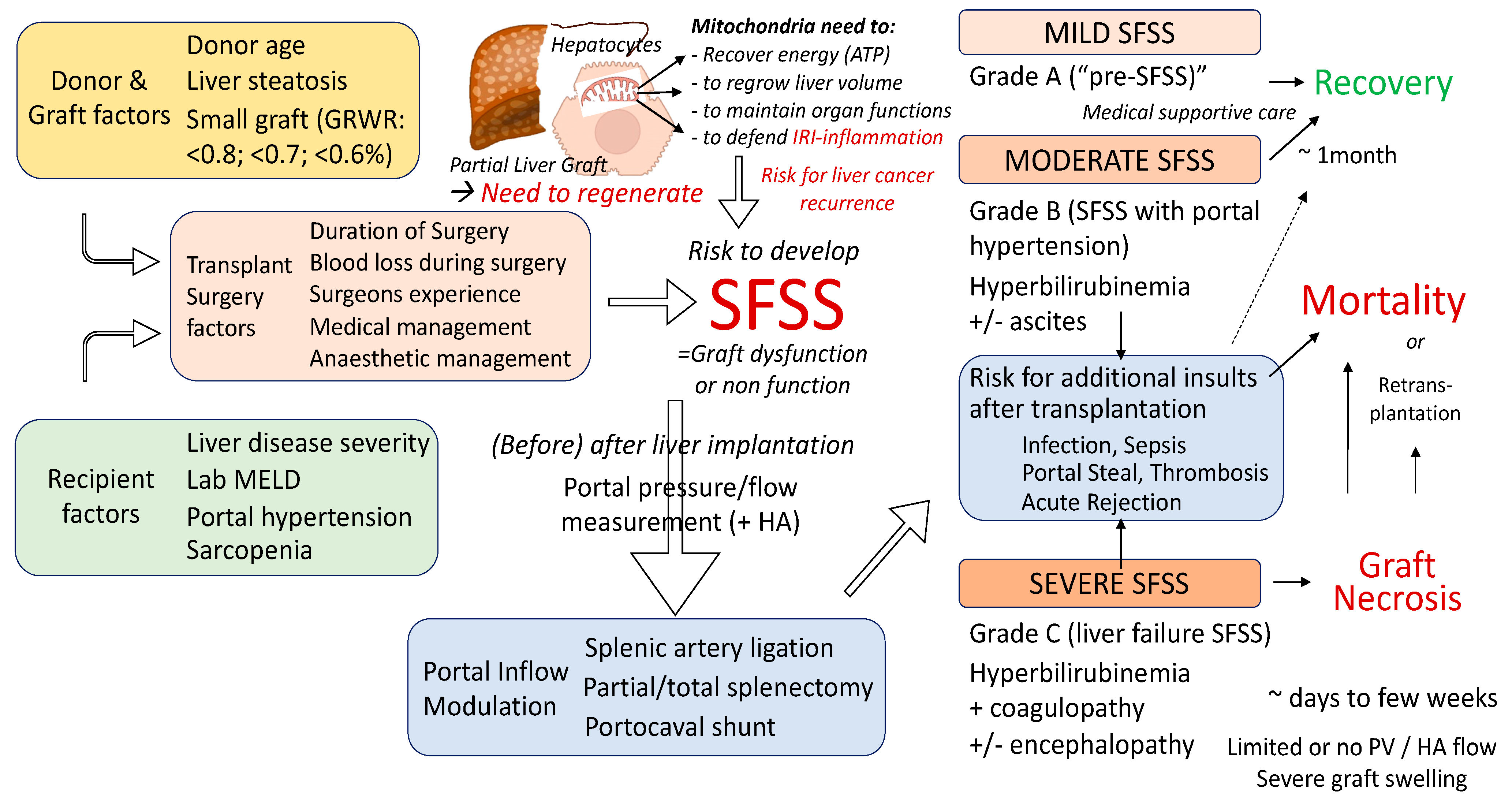 Ijms 24 06224 g003 Ijms 24 06224 g003