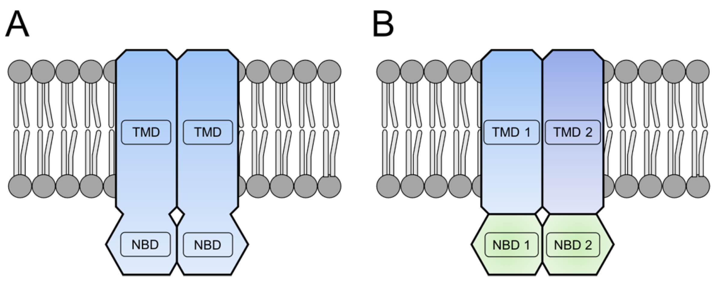 Ijms 24 06227 g001 Ijms 24 06227 g001