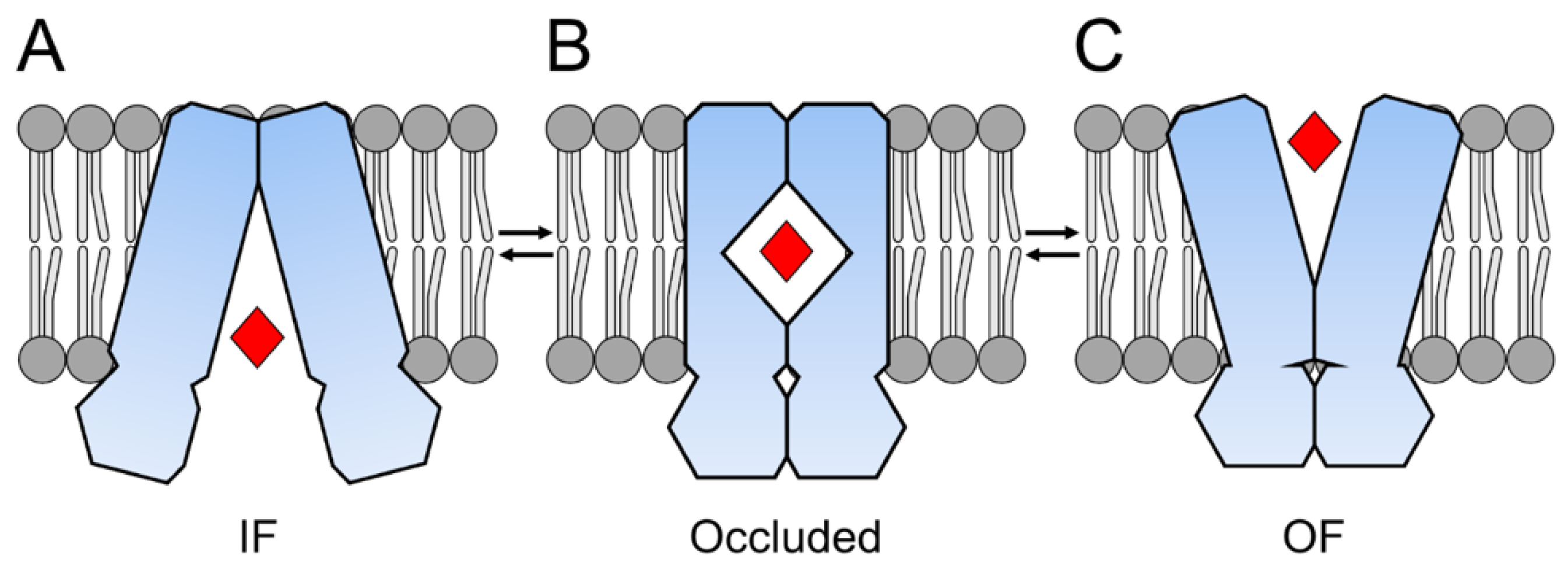 Ijms 24 06227 g002 Ijms 24 06227 g002