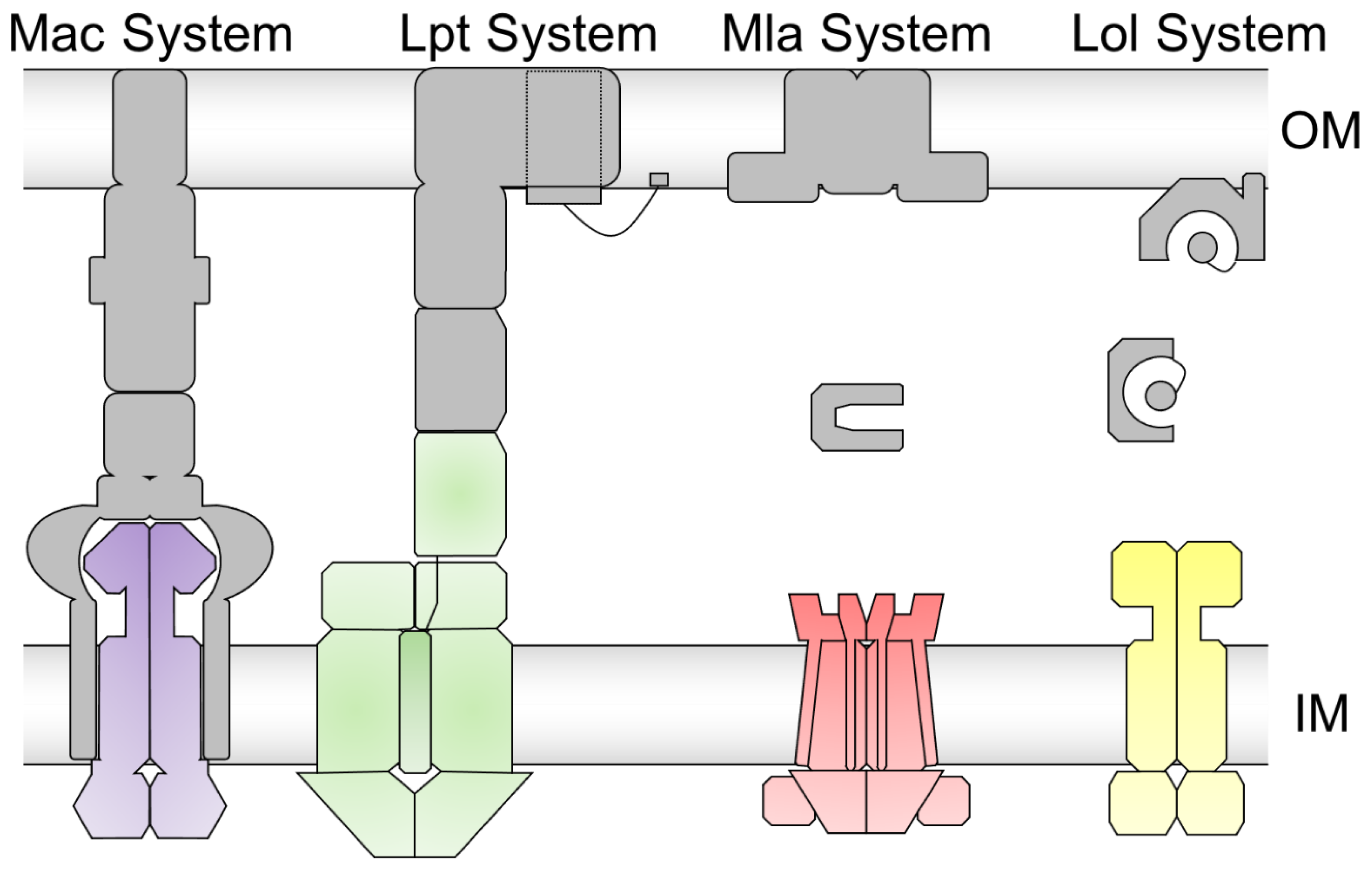Ijms 24 06227 g003 Ijms 24 06227 g003